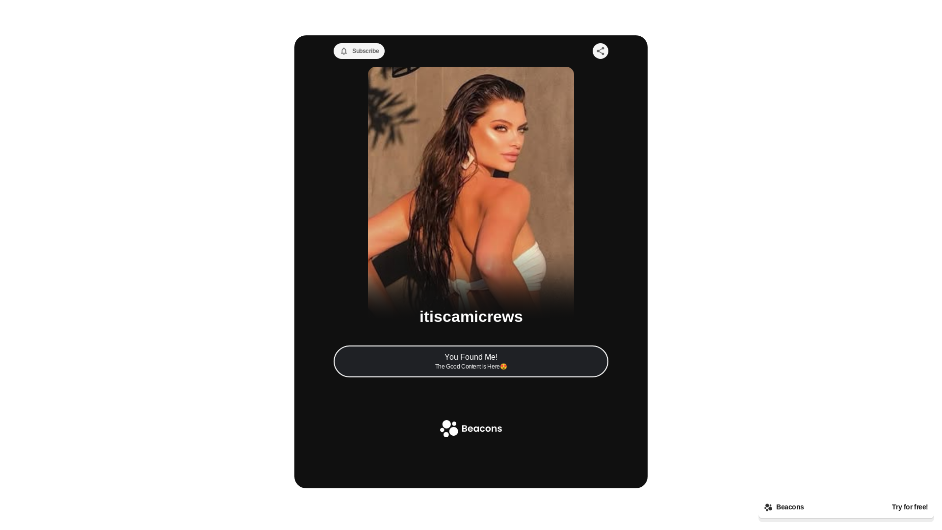 website screenshot of https://itiscamicrews.com/