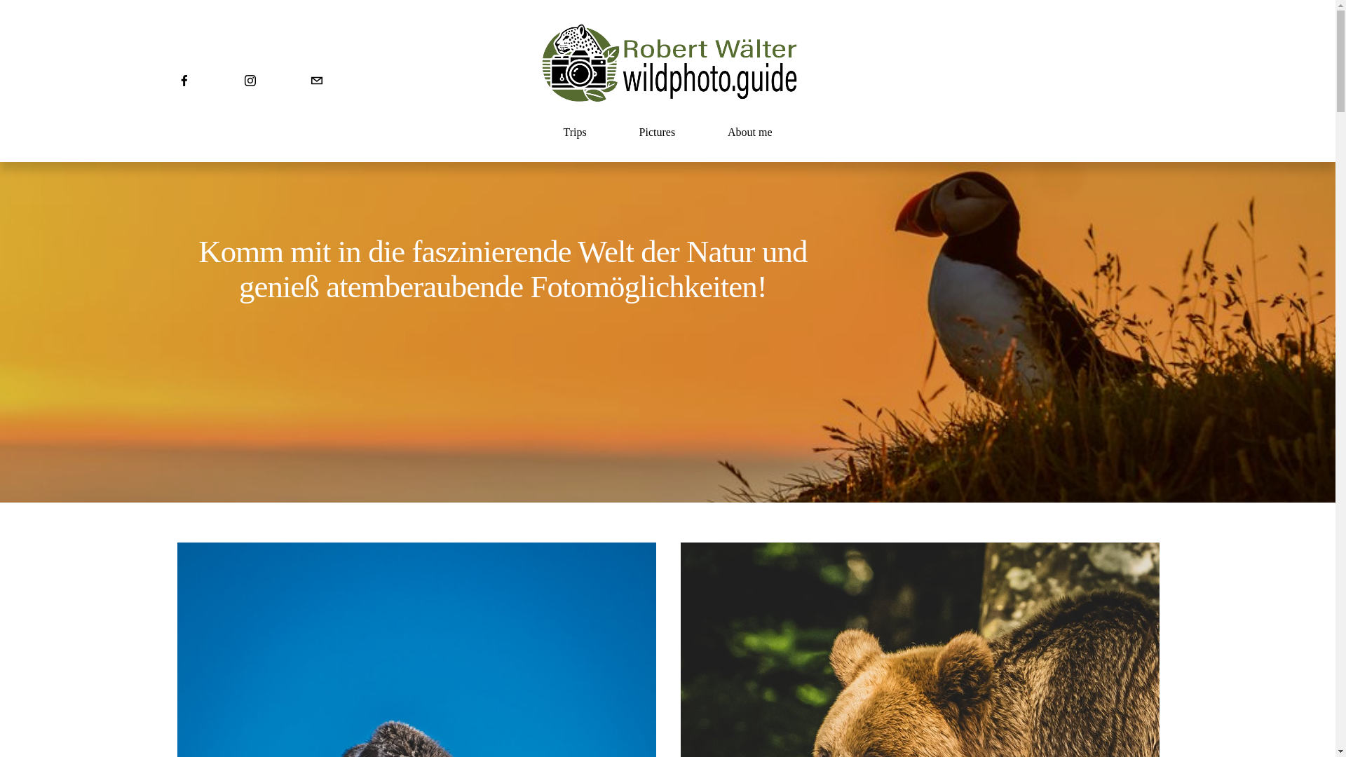 website screenshot of https://robertwaelter.com/
