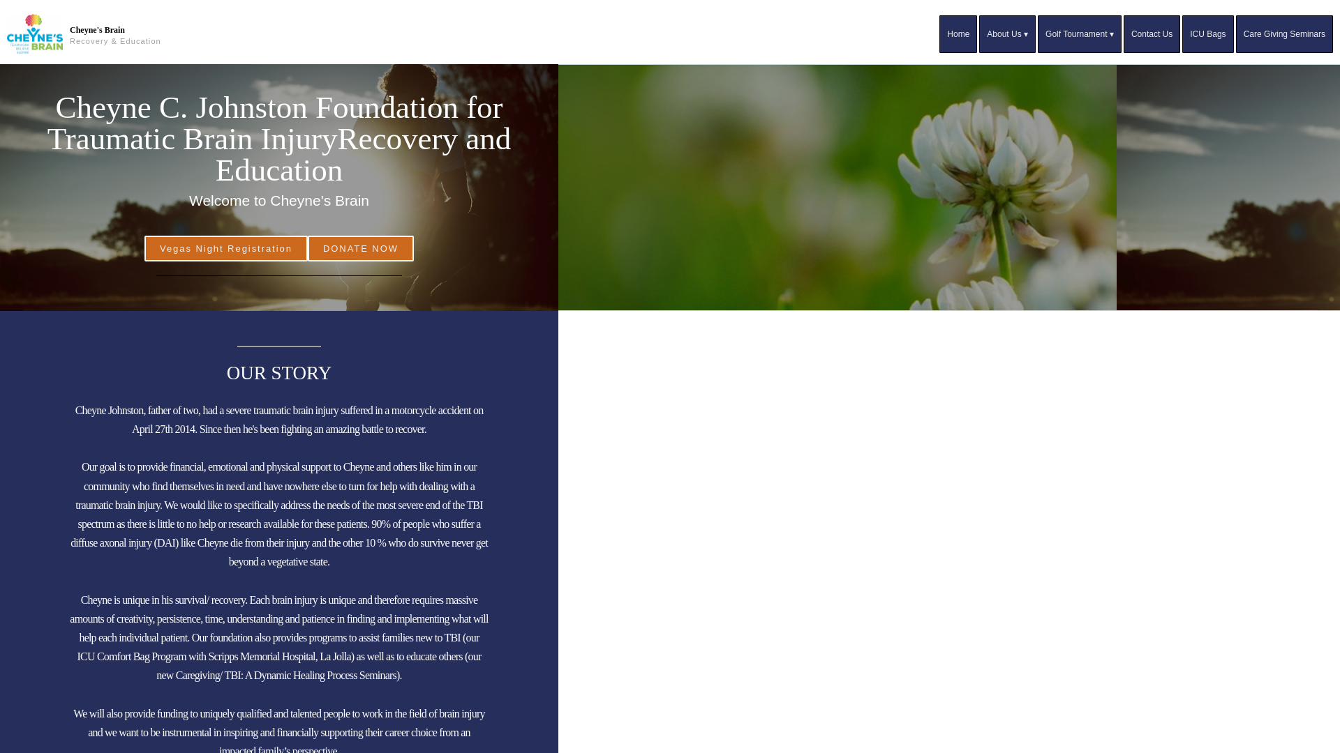 website screenshot of https://cheynesbrain-org.pages.dev/