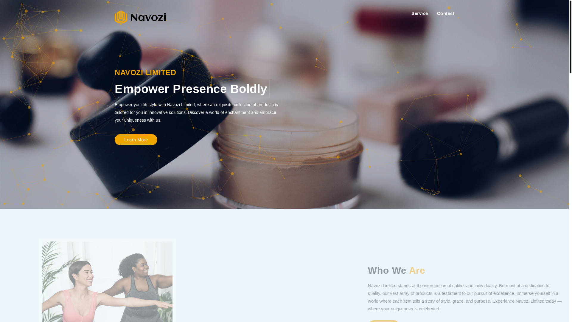 website screenshot of https://navoziltd.pages.dev/