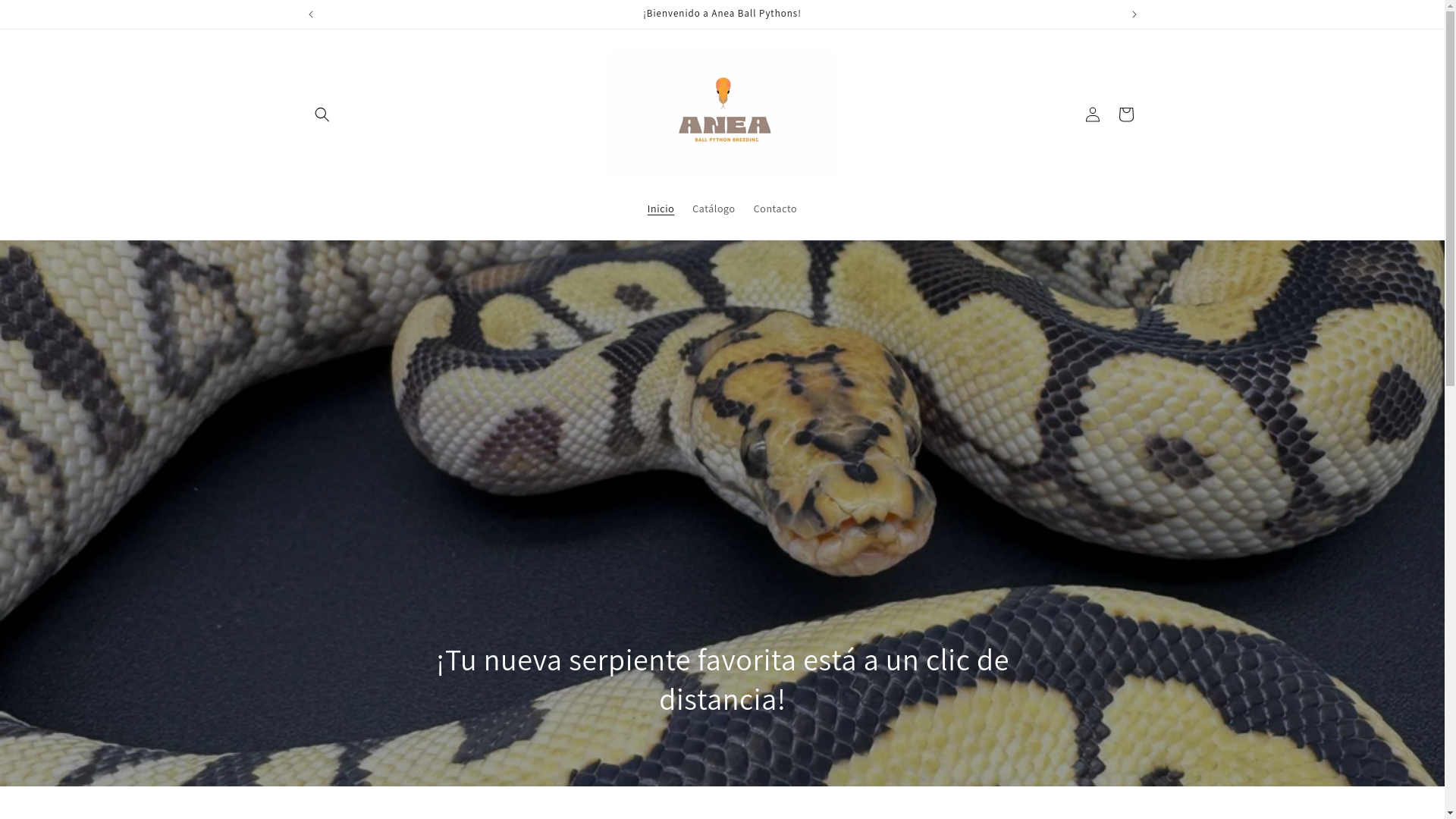 website screenshot of https://aneaballpythons.com/