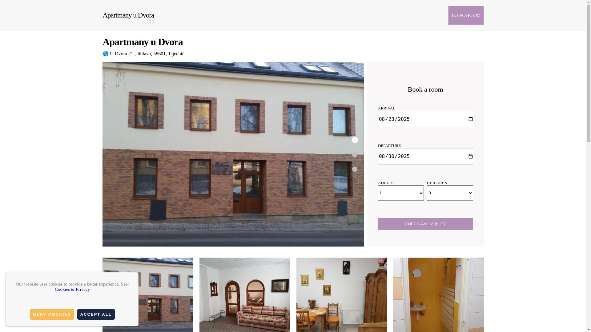 website screenshot of https://apartments-at-dvur.org.es/
