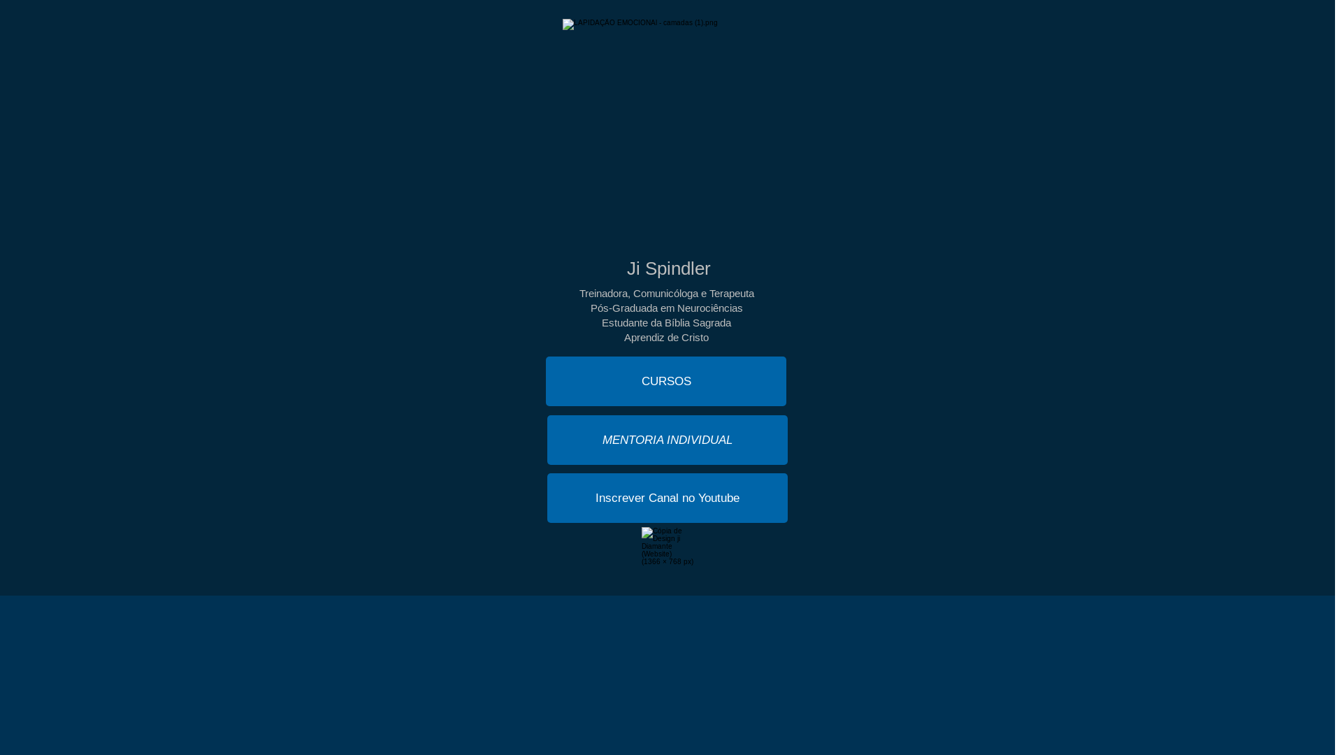 website screenshot of https://identidadelapidada.com/