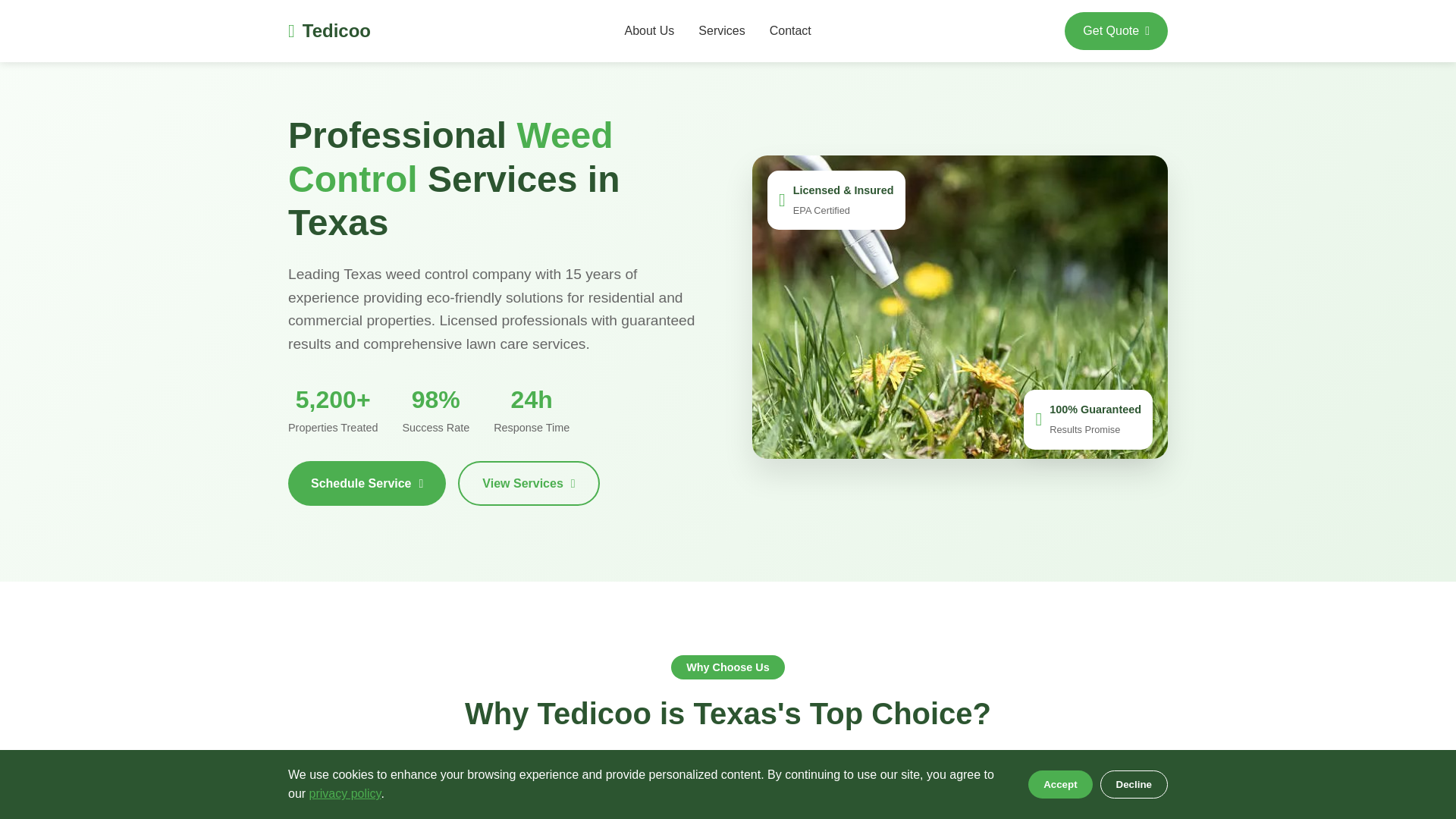 website screenshot of https://tedicoo.online