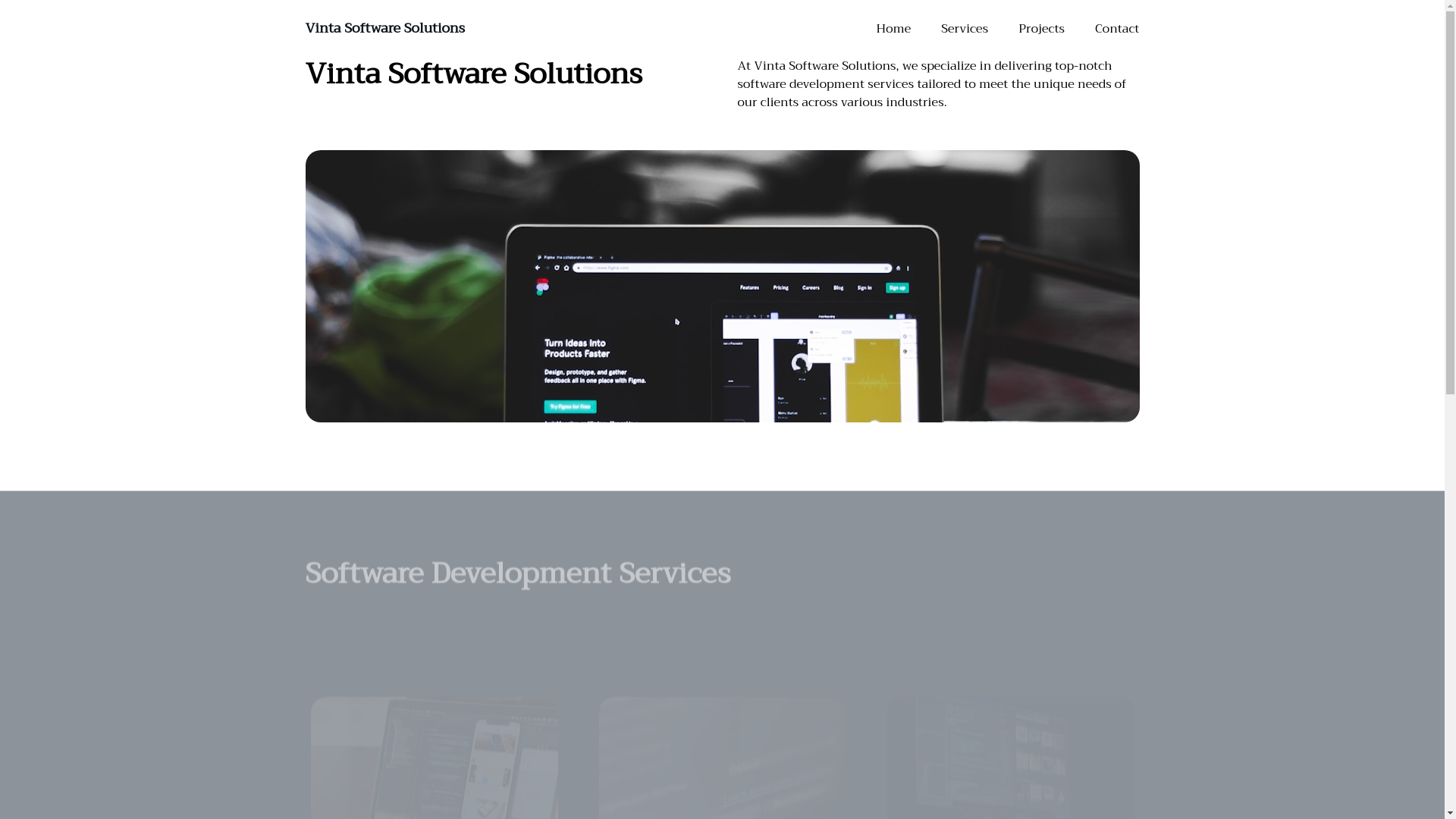 website screenshot of https://vintasoftwaresolutions.com/