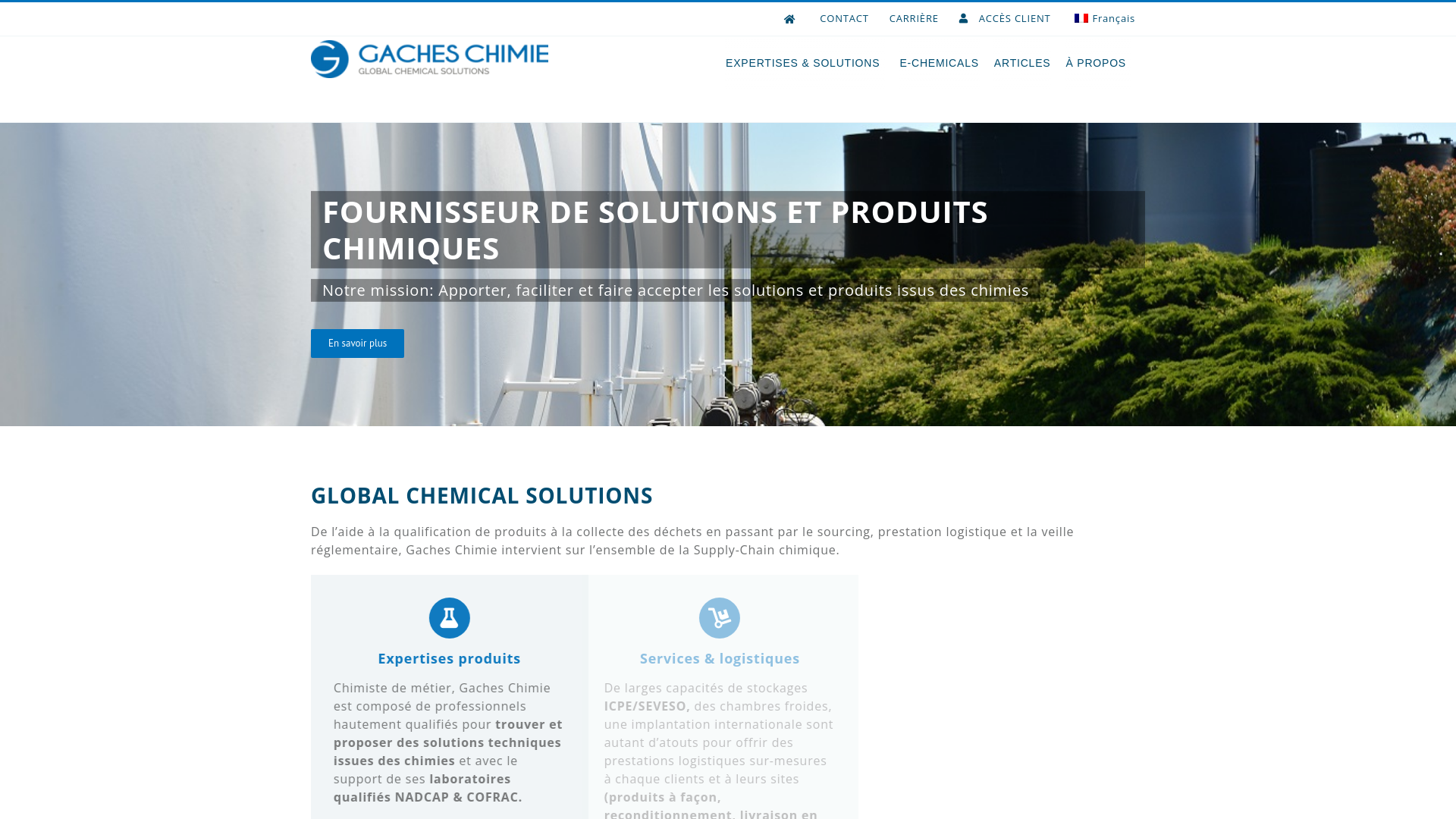 website screenshot of https://www.gaches.com/