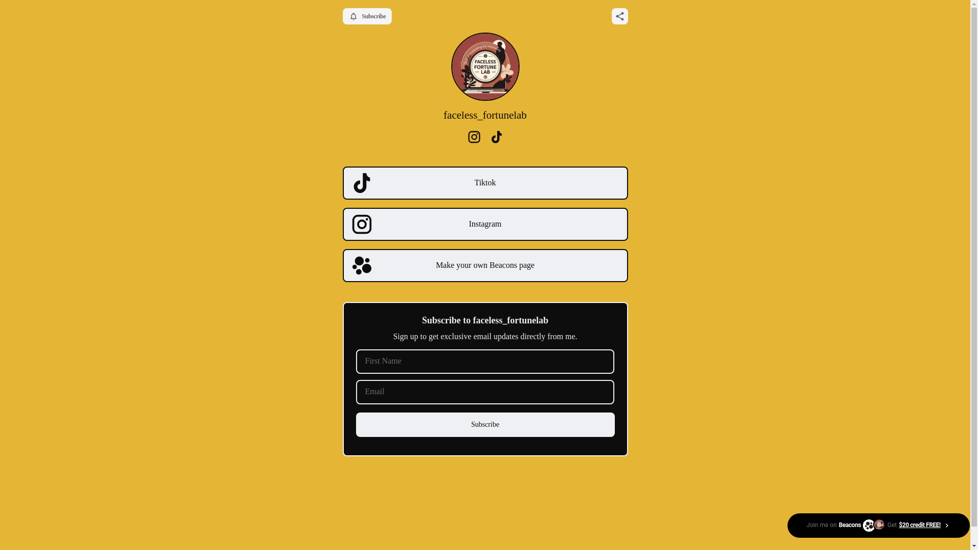website screenshot of https://facelessfortunelab.store/