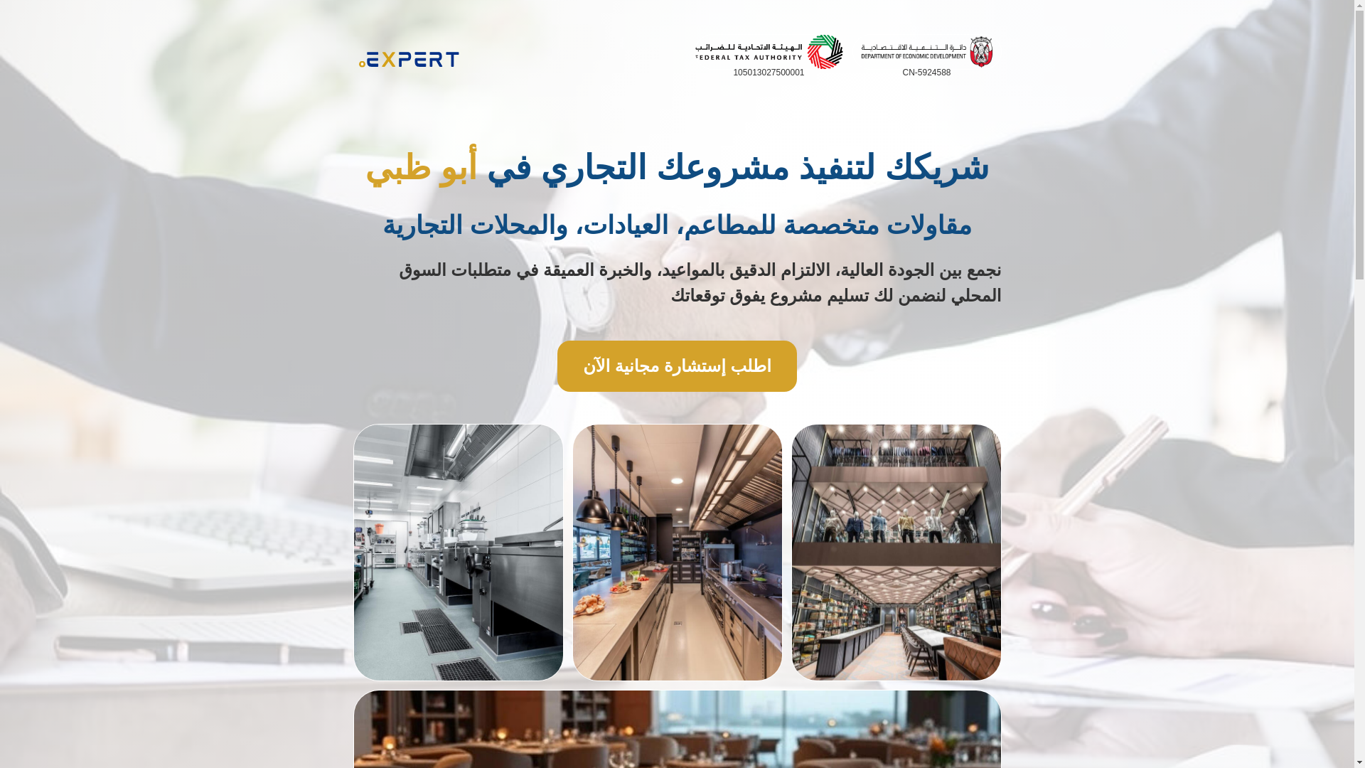 website screenshot of https://dotexpert.ae/