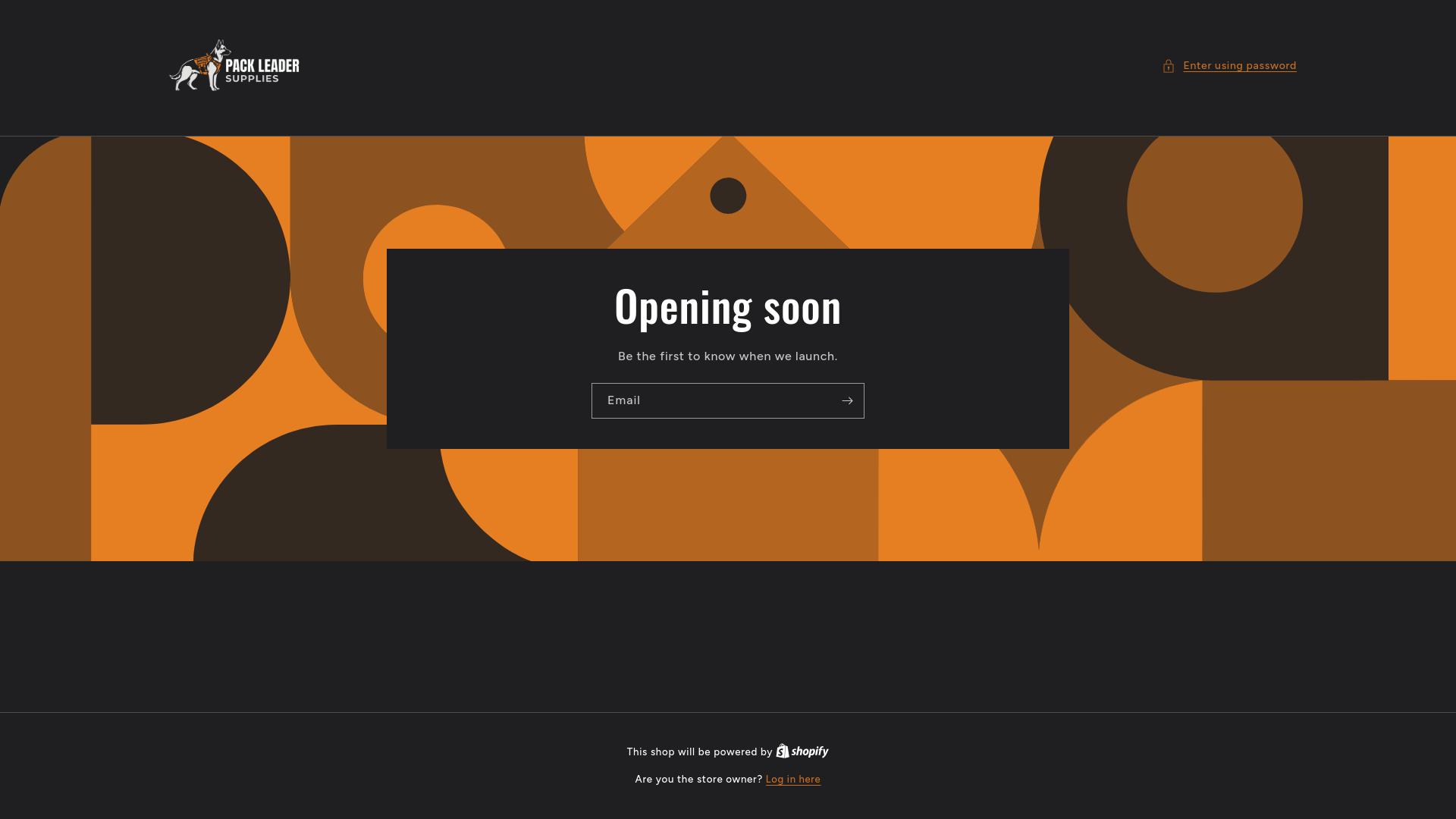 website screenshot of https://packleadersupplies.com/