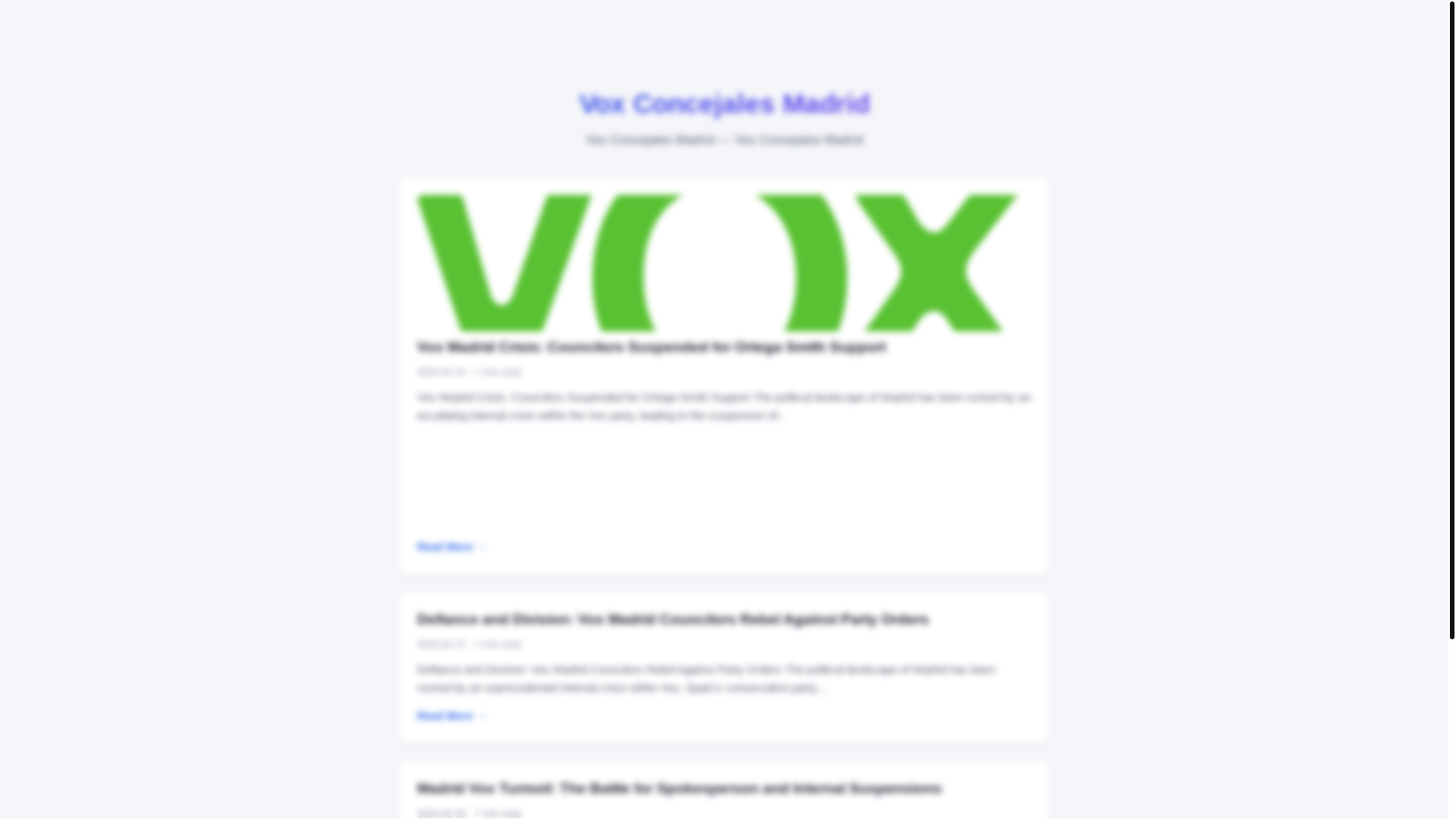 website screenshot of https://vox-concejales-madrid.pages.dev/