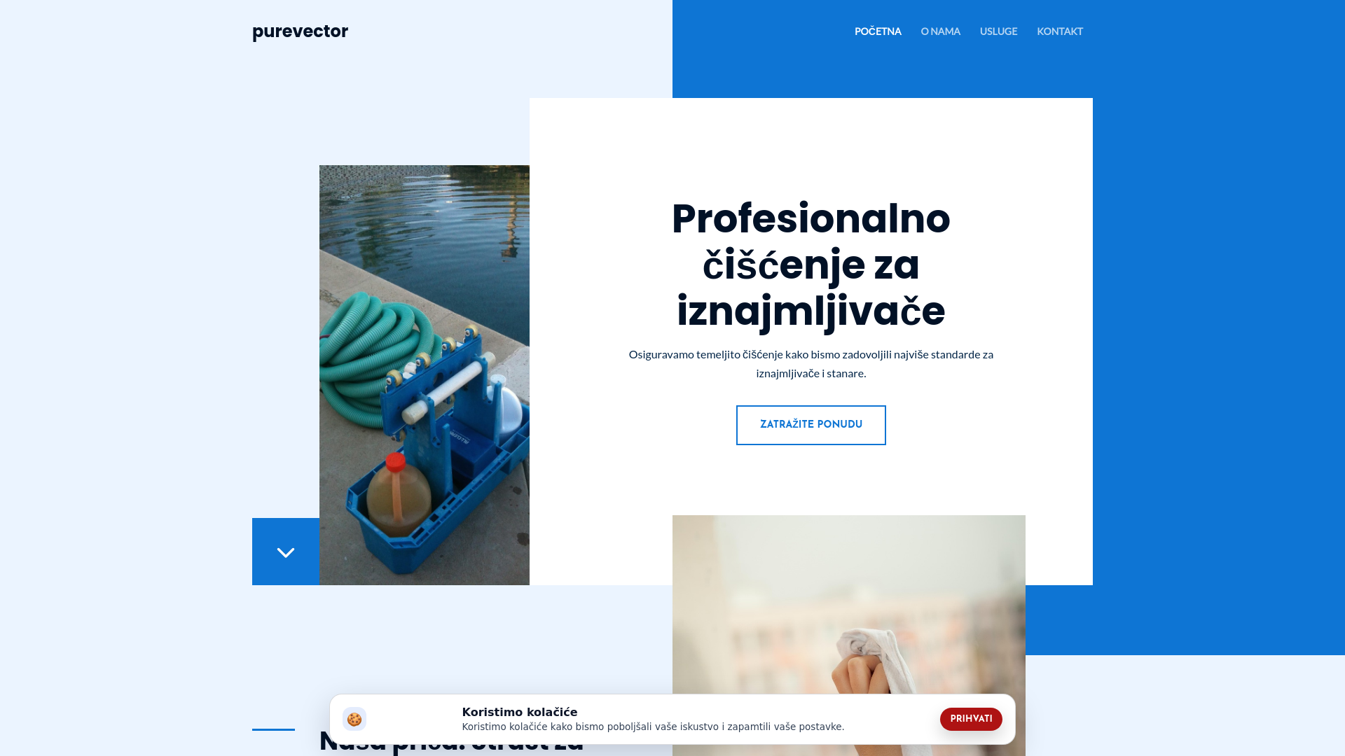 website screenshot of https://purevector.company