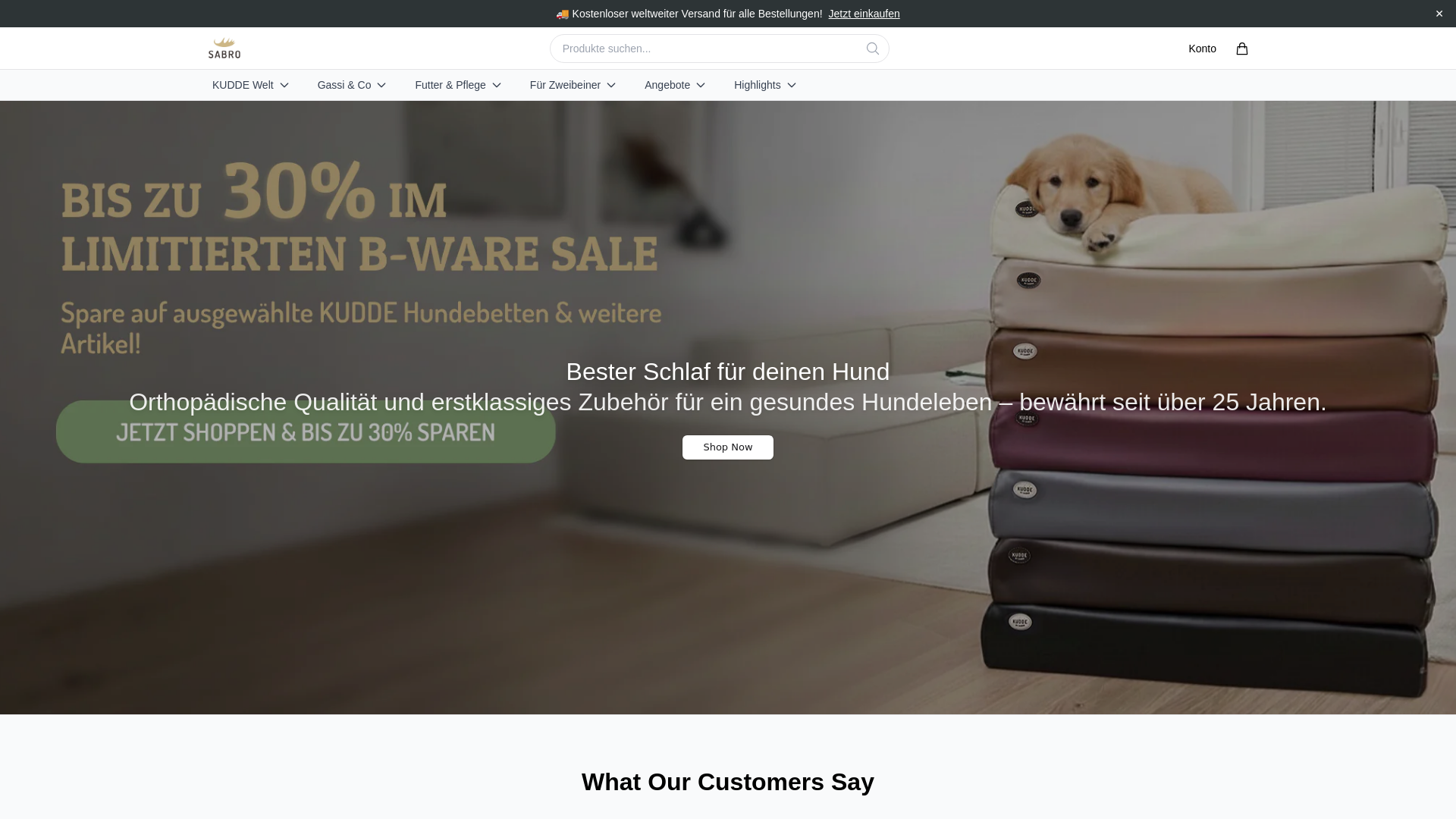 website screenshot of https://getsabro.shop/
