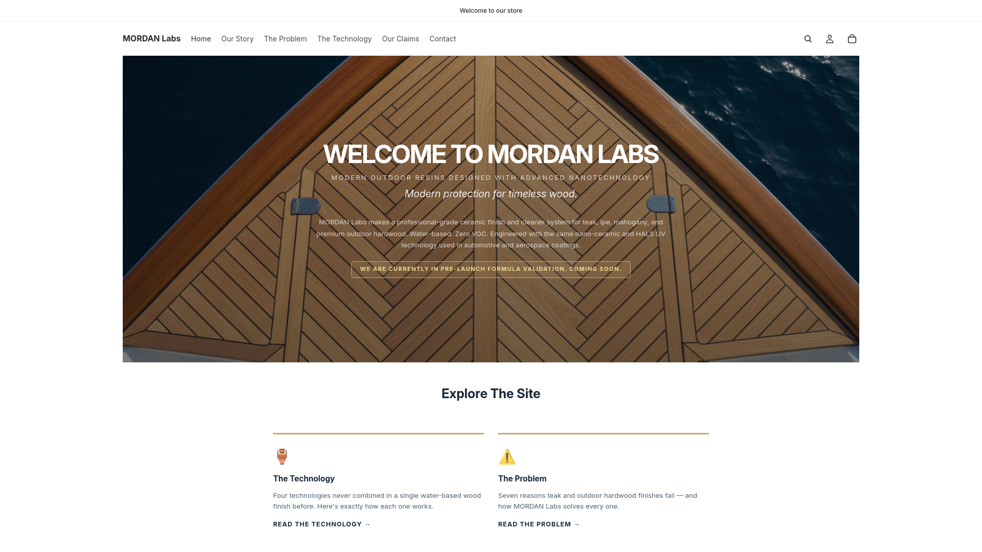website screenshot of https://mordan-labs.com/