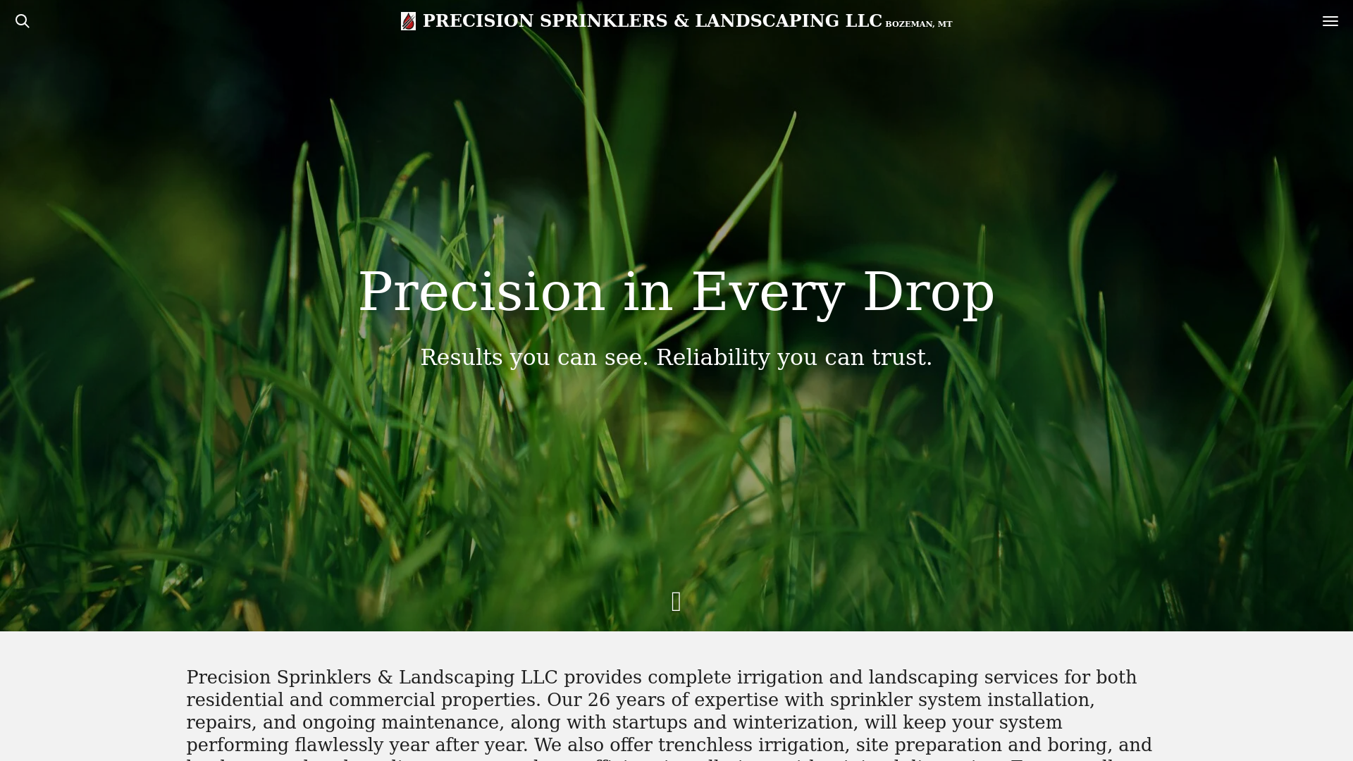 website screenshot of https://precisionbozeman.com/