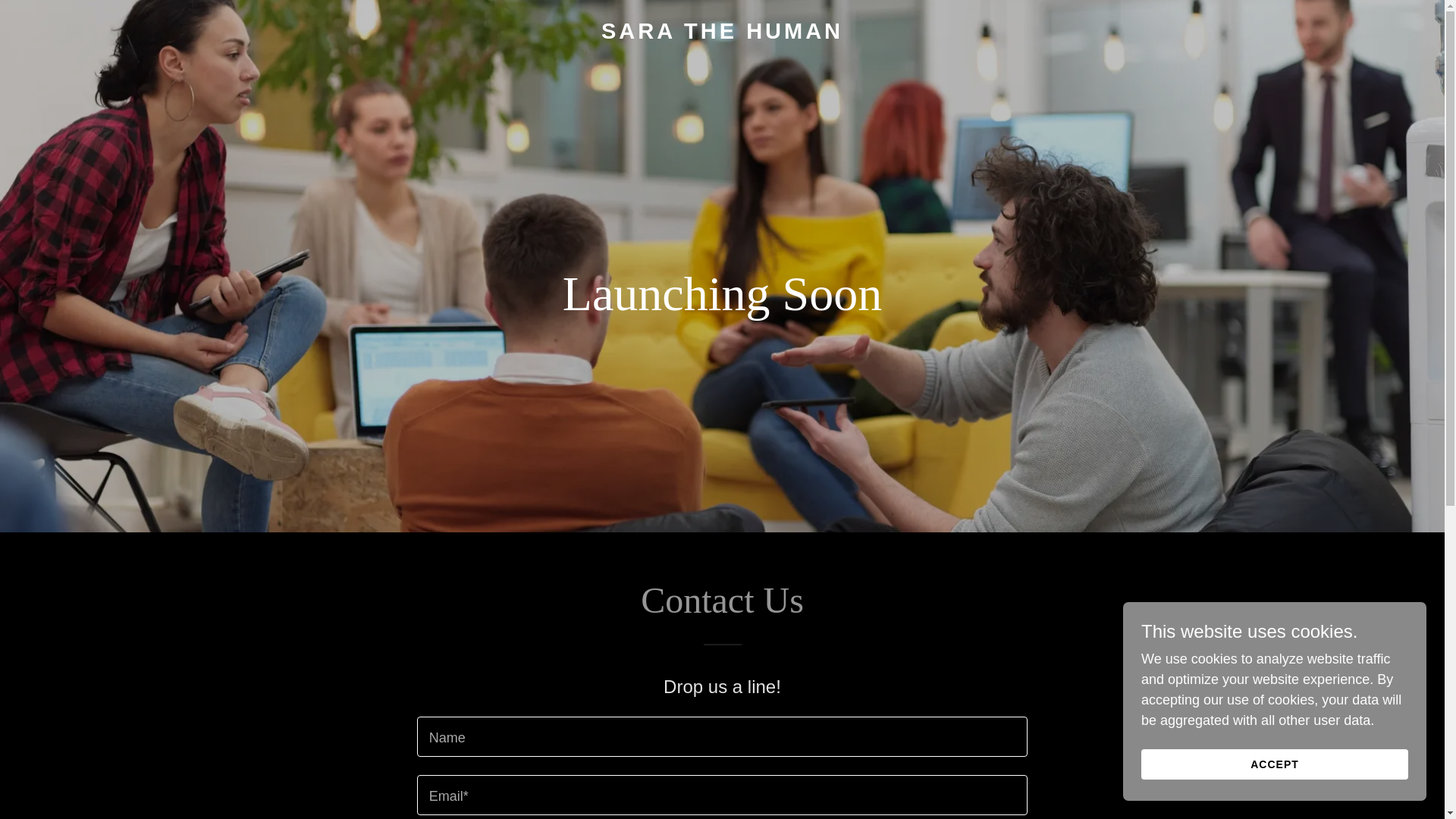 website screenshot of https://sarathehuman.com/