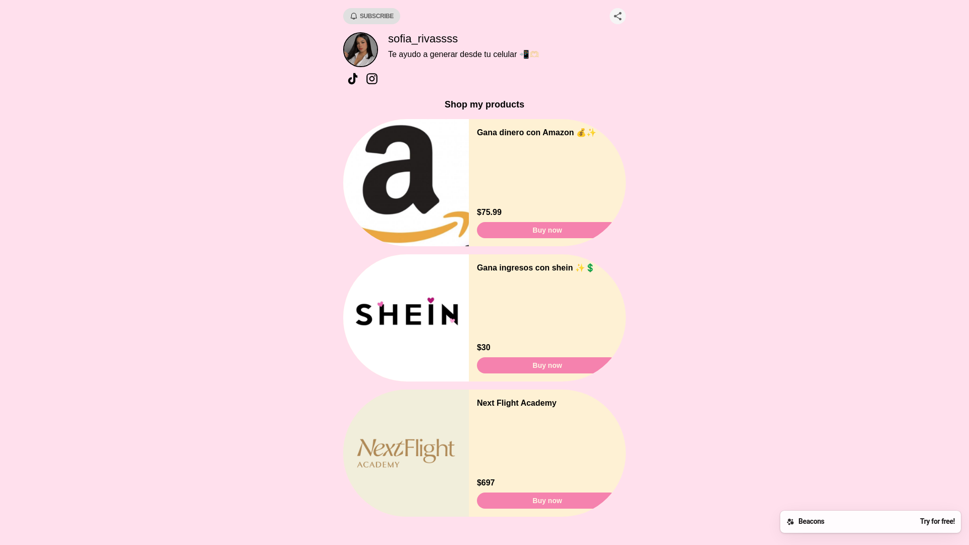 website screenshot of https://sofiarivassss.com/