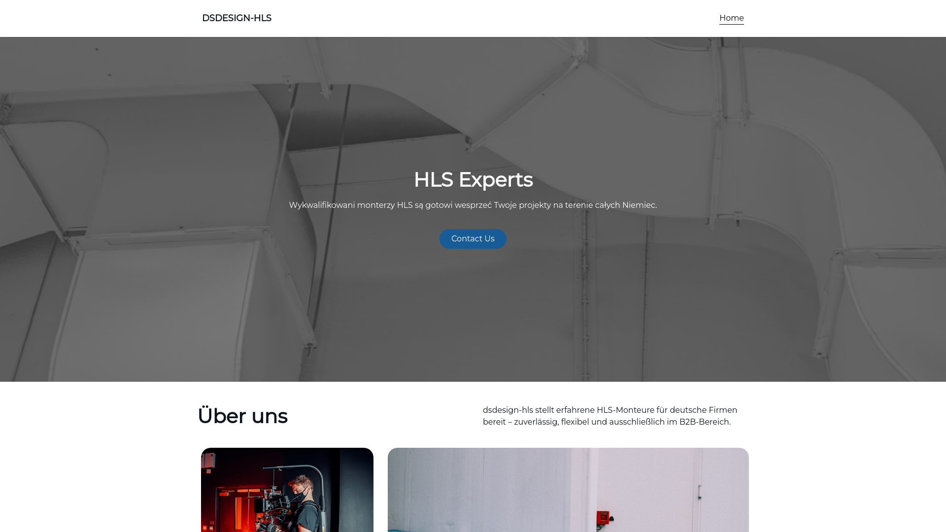 website screenshot of https://dsdesign-hls.eu