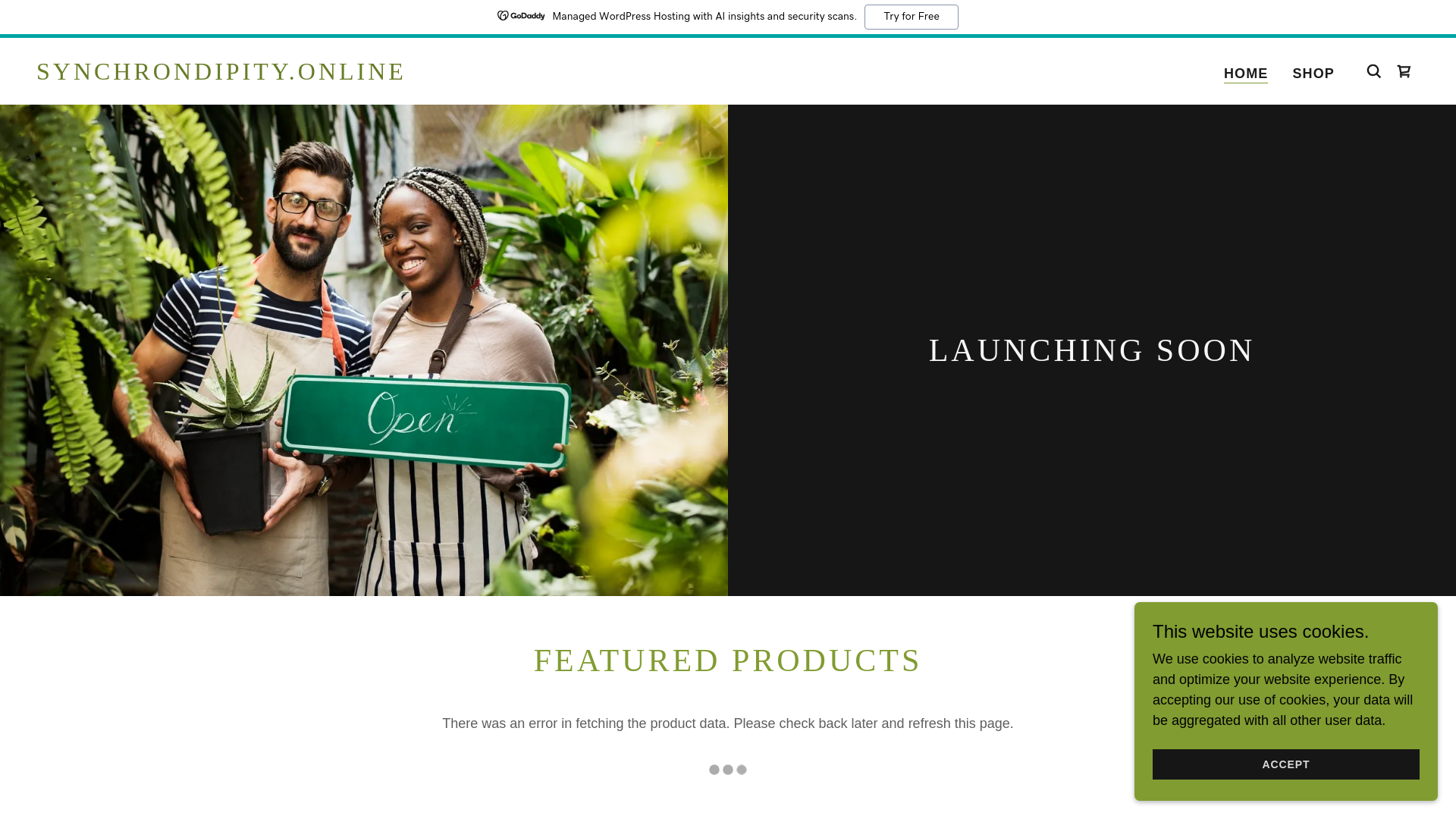 website screenshot of https://synchrondipity.online/