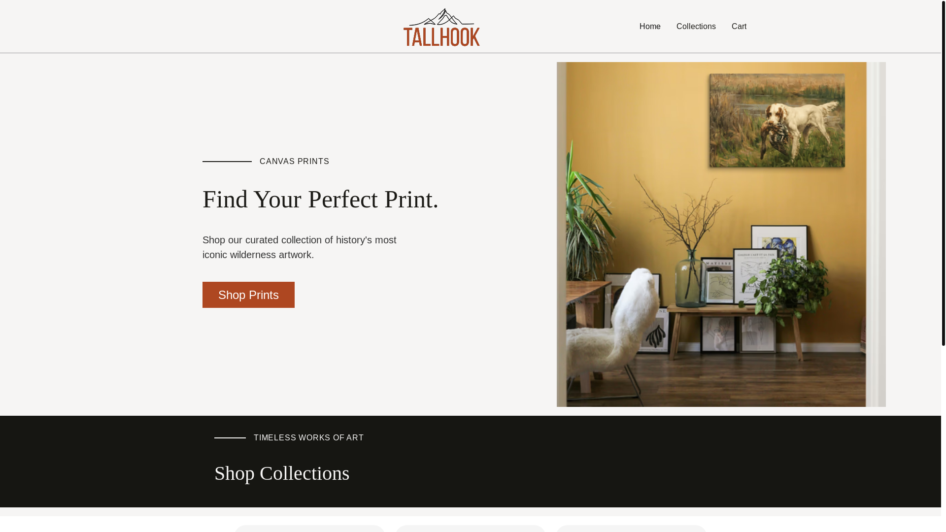 website screenshot of https://tallhook-inject.pages.dev/