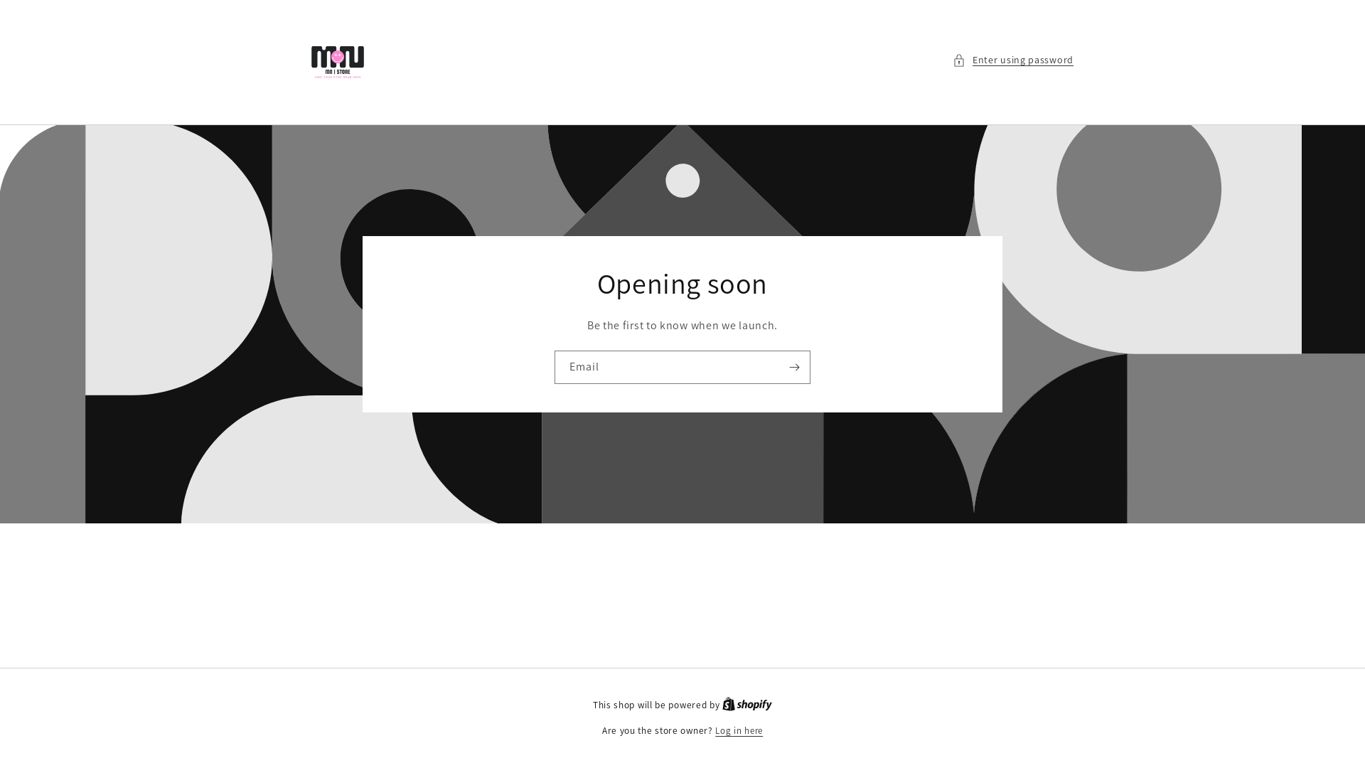 website screenshot of https://mnstoresource.com/