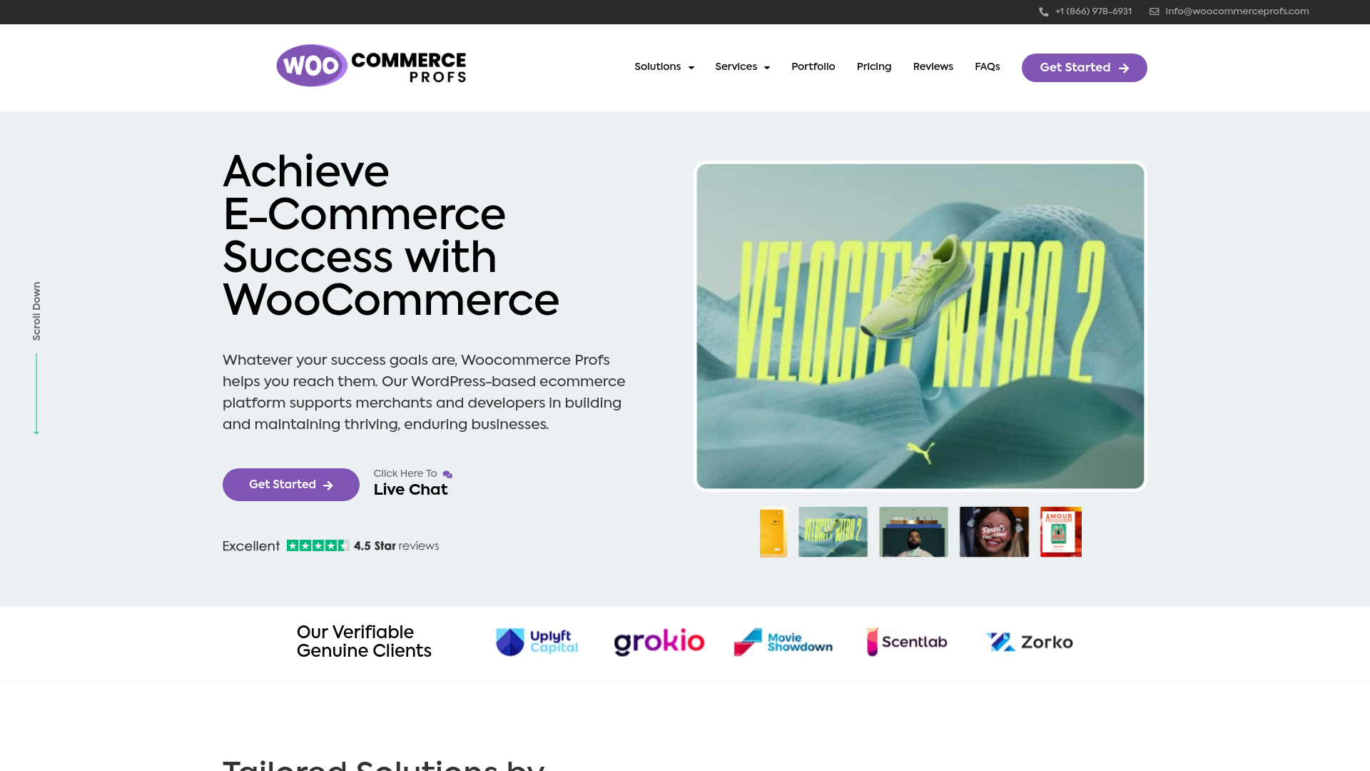 website screenshot of https://woocommerceprofs.com/