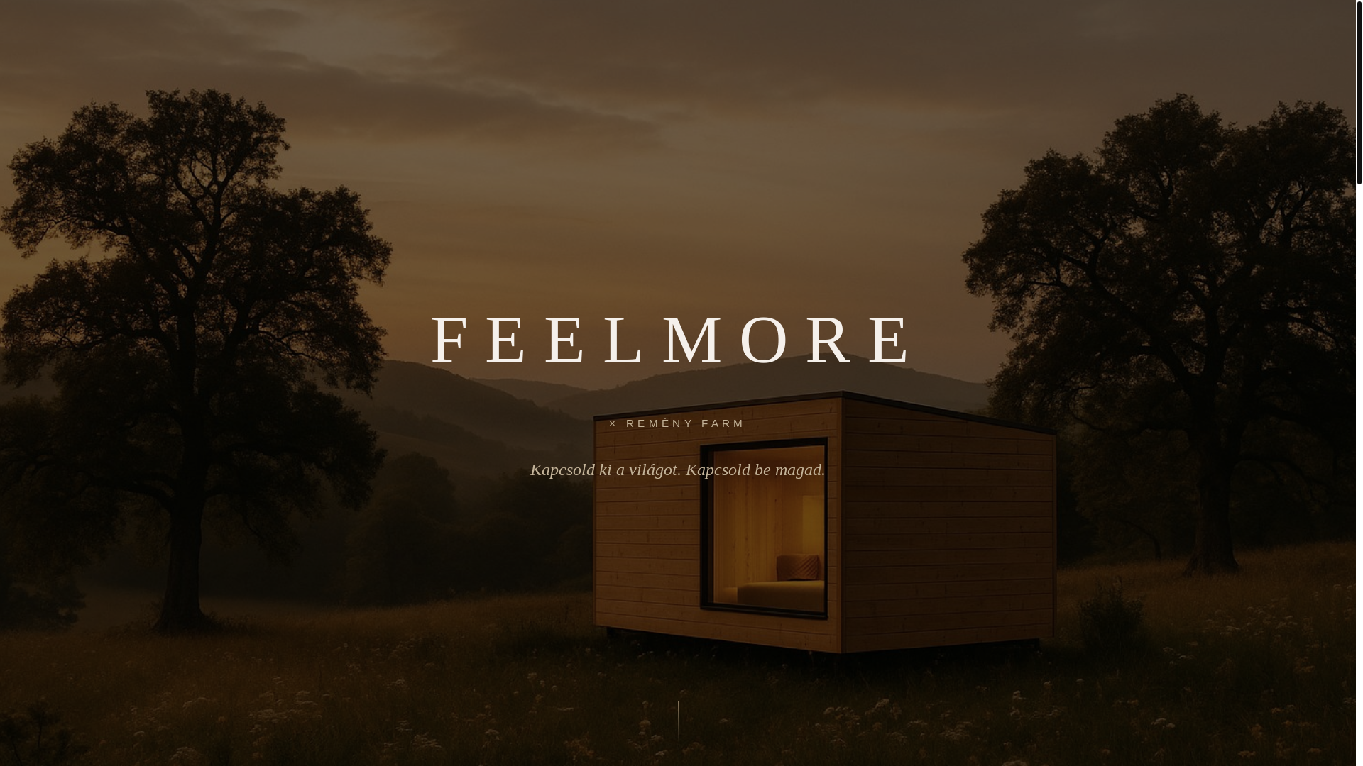 website screenshot of https://feelmore-remenyfarm-hu.pages.dev/