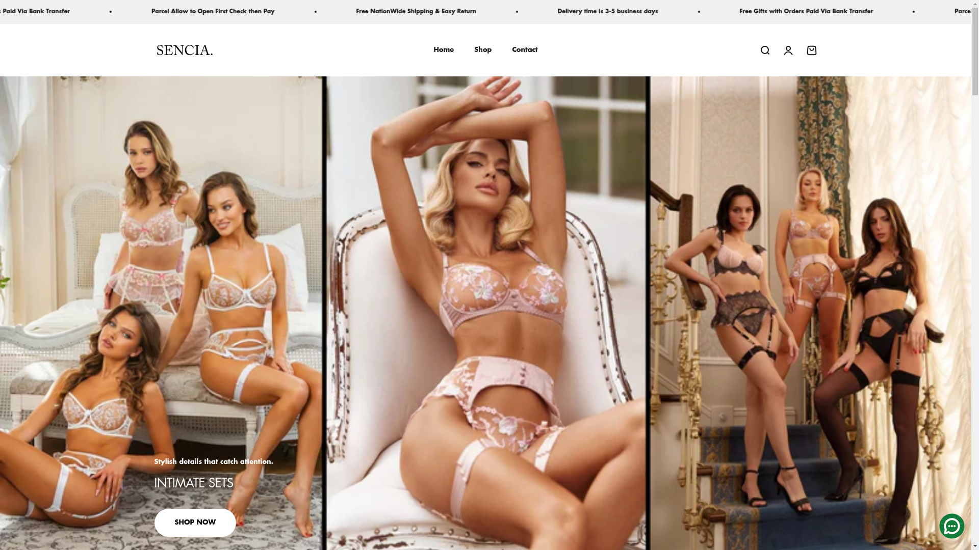 website screenshot of https://sencialingrie.com/