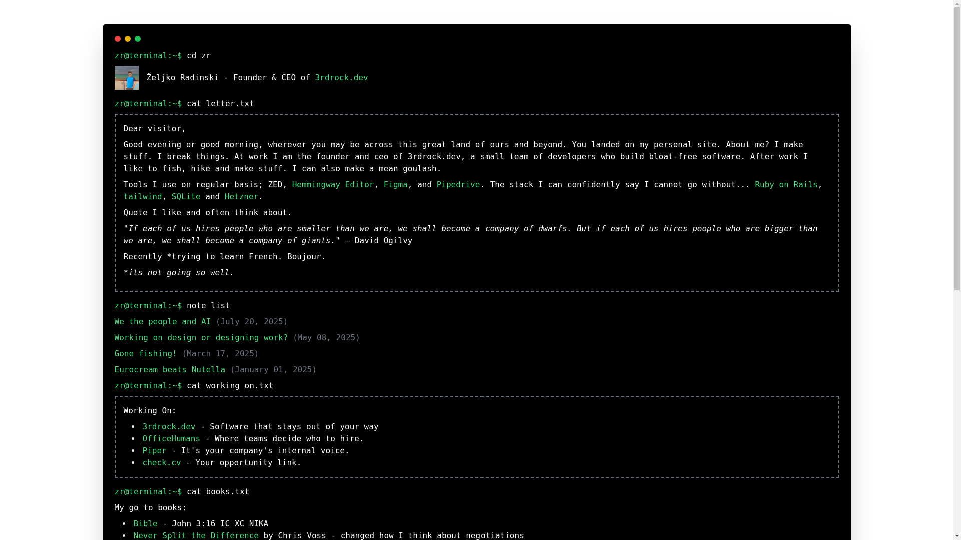 website screenshot of https://zrterminal.pages.dev/