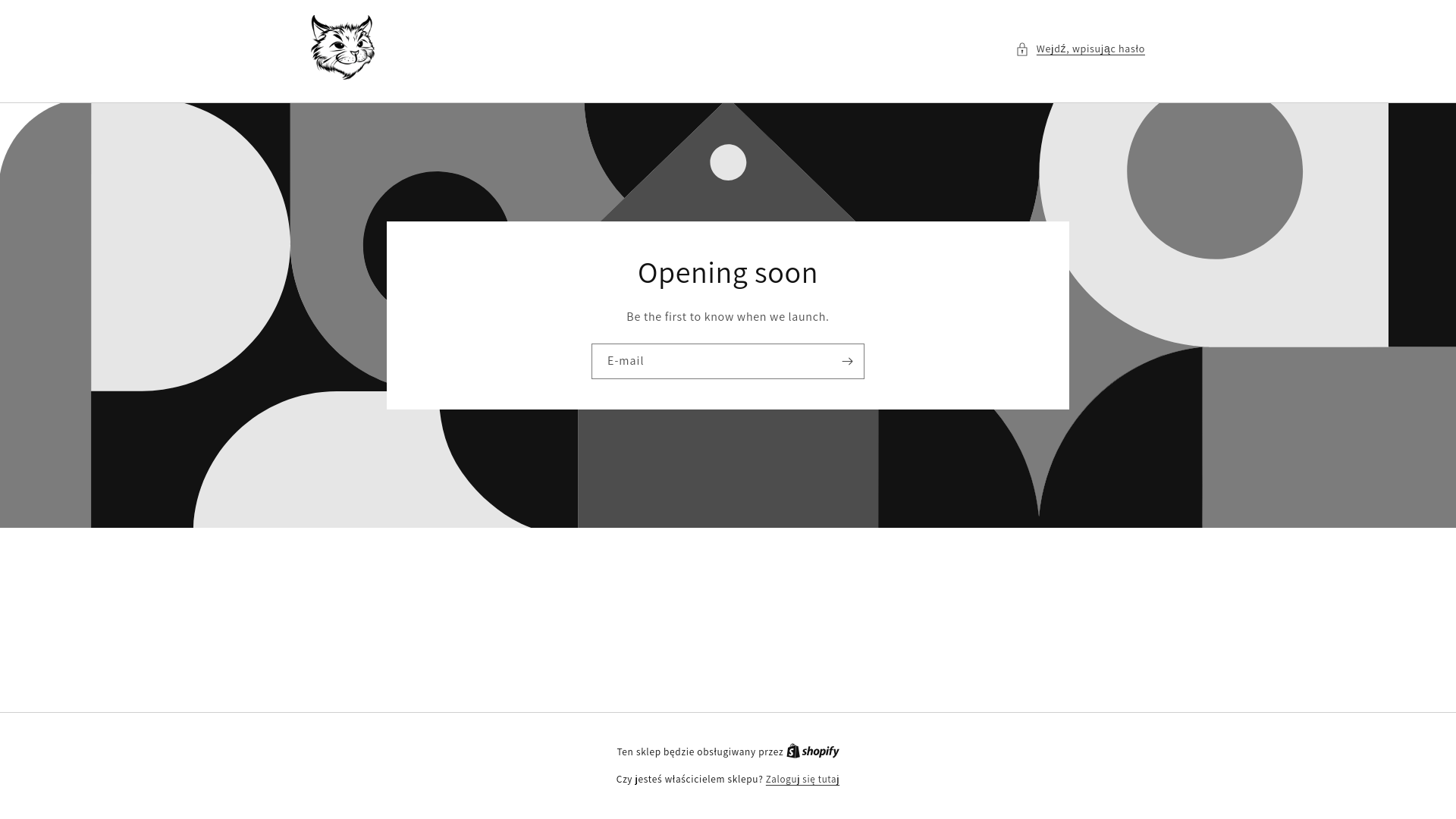 website screenshot of https://kocurgarage.pl/