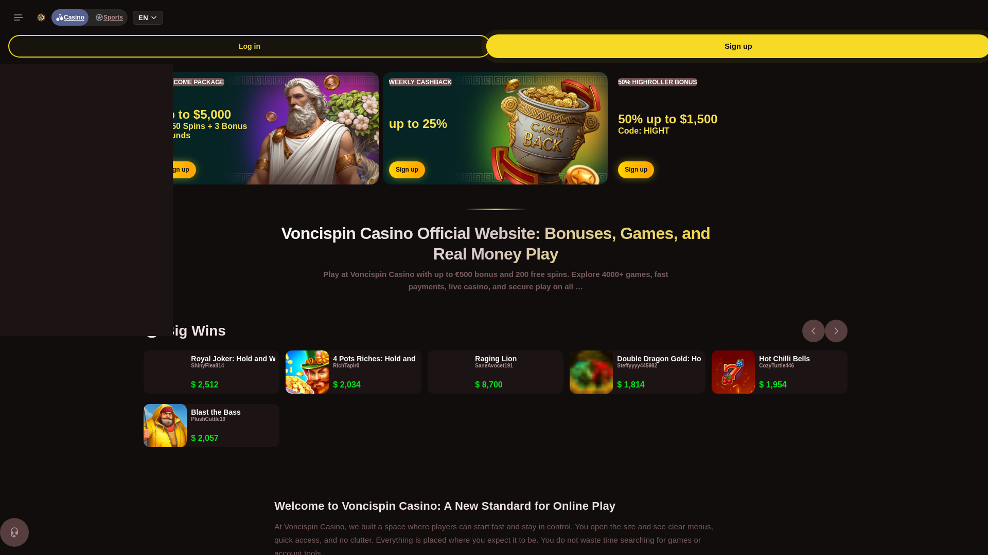 website screenshot of https://voncispin.com/