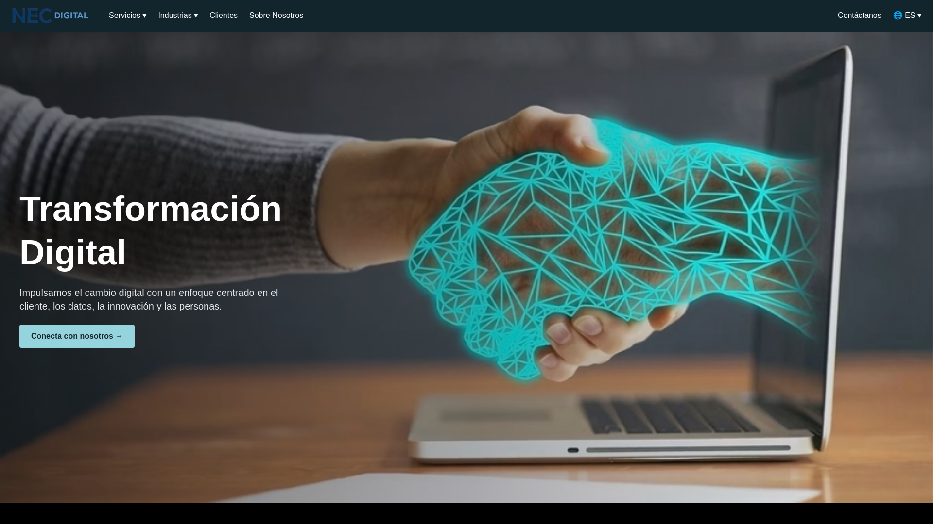 website screenshot of https://necdigital.pe/