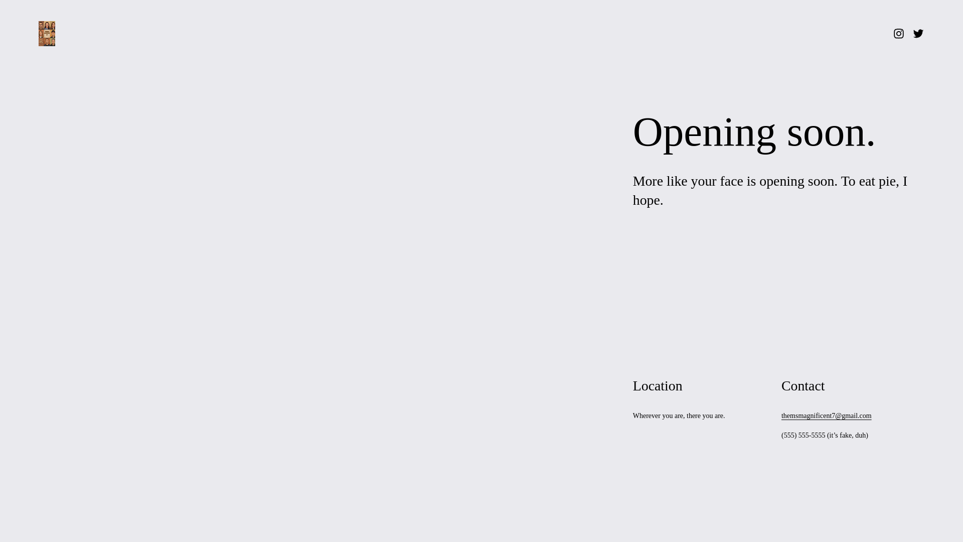 website screenshot of https://themsmagnificent7.com/