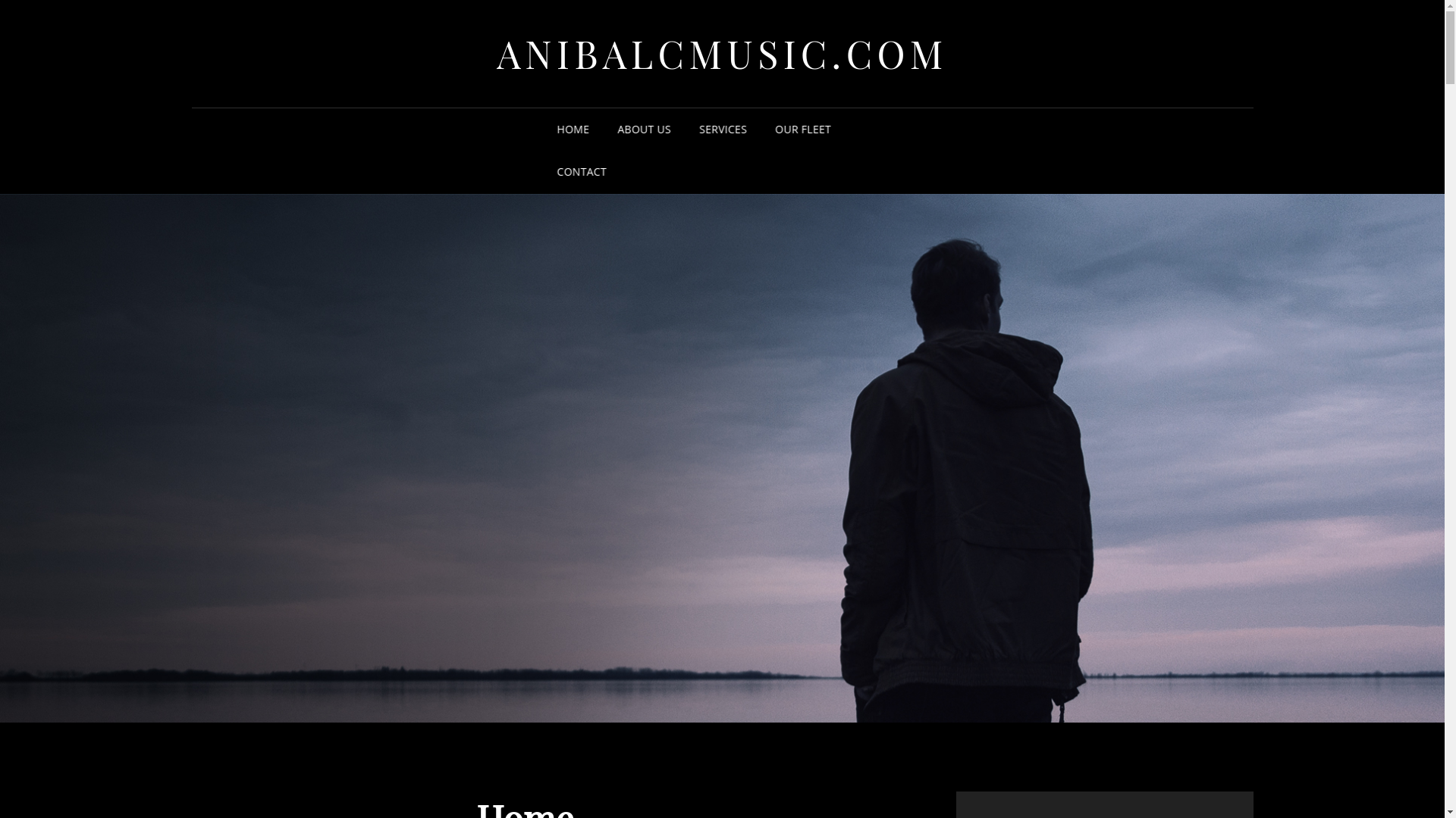 website screenshot of https://anibalcmusic.com/