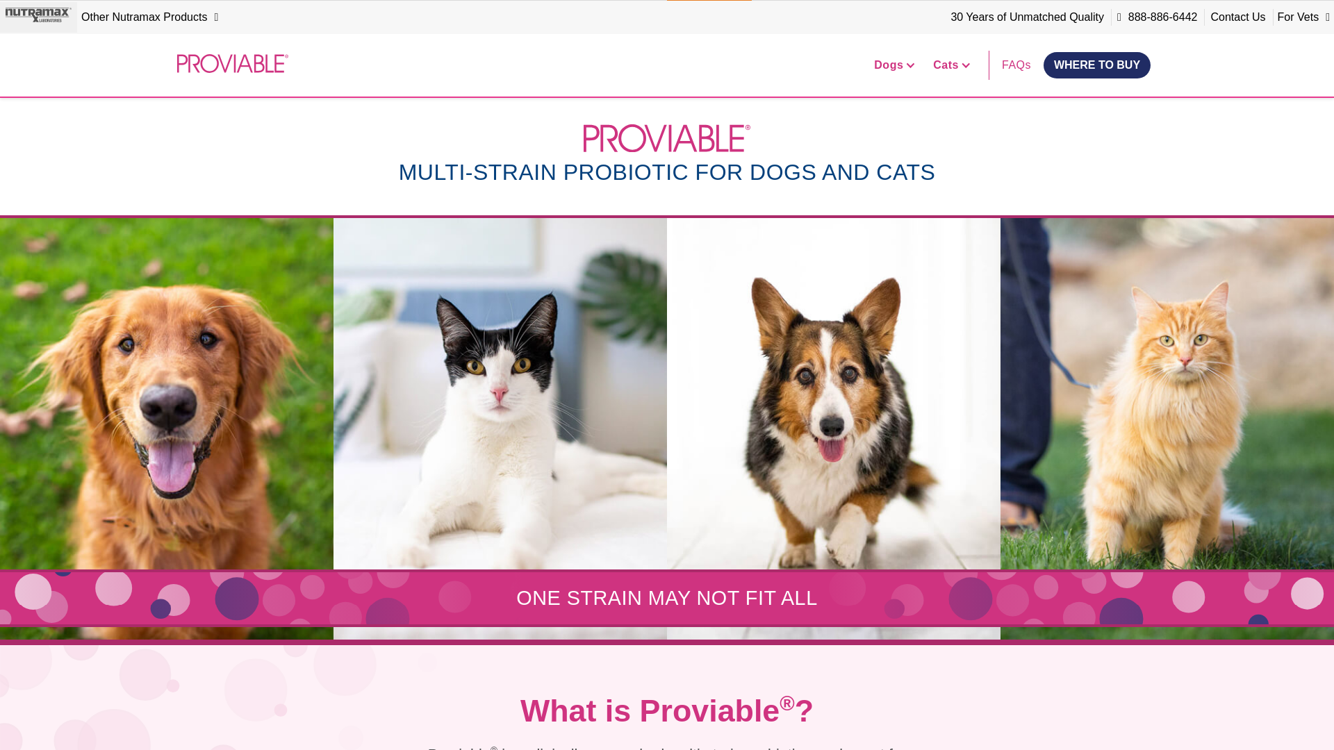 website screenshot of https://proviablesus.net