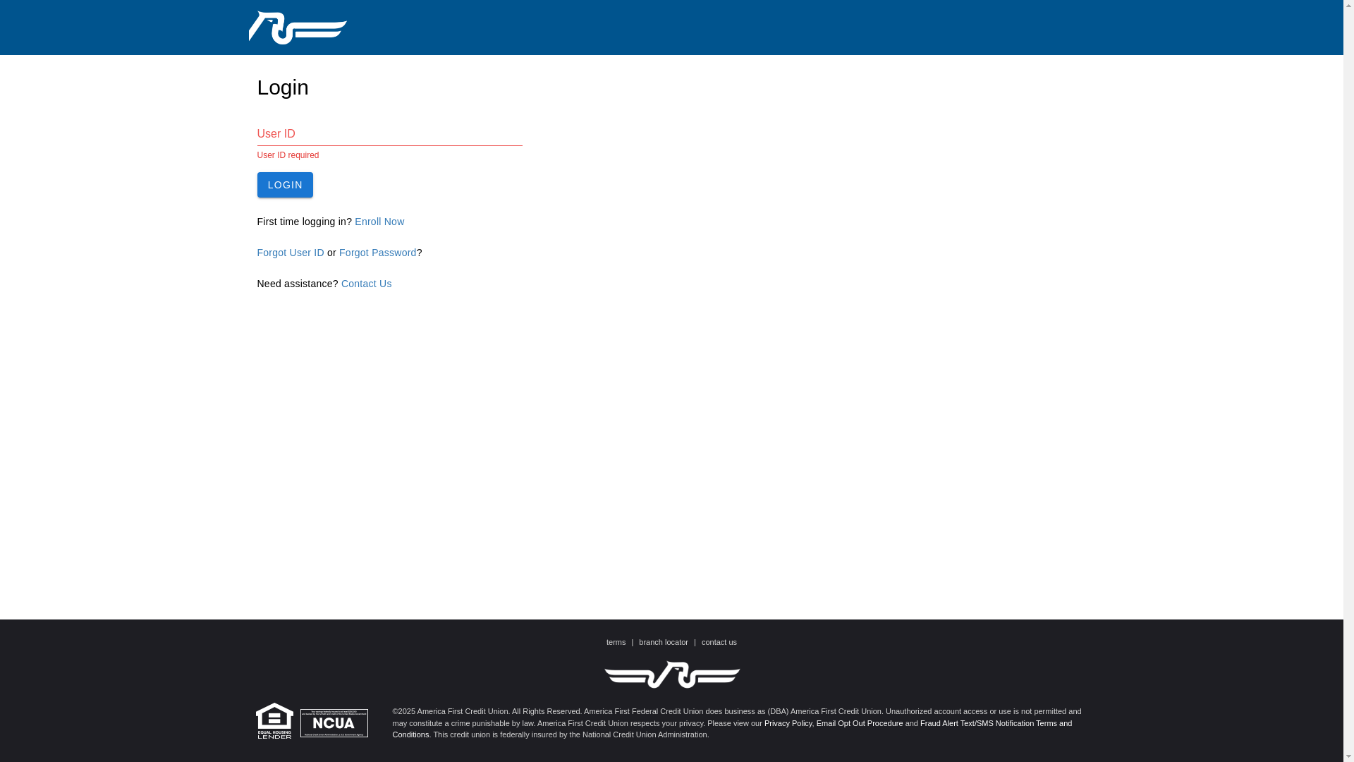 website screenshot of https://americafirst-form.com/
