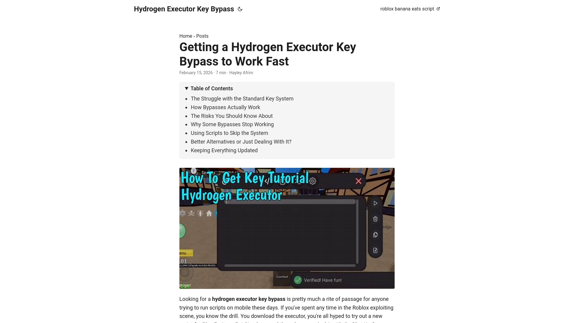 website screenshot of https://hydrogen-executor-key-bypass.pages.dev/