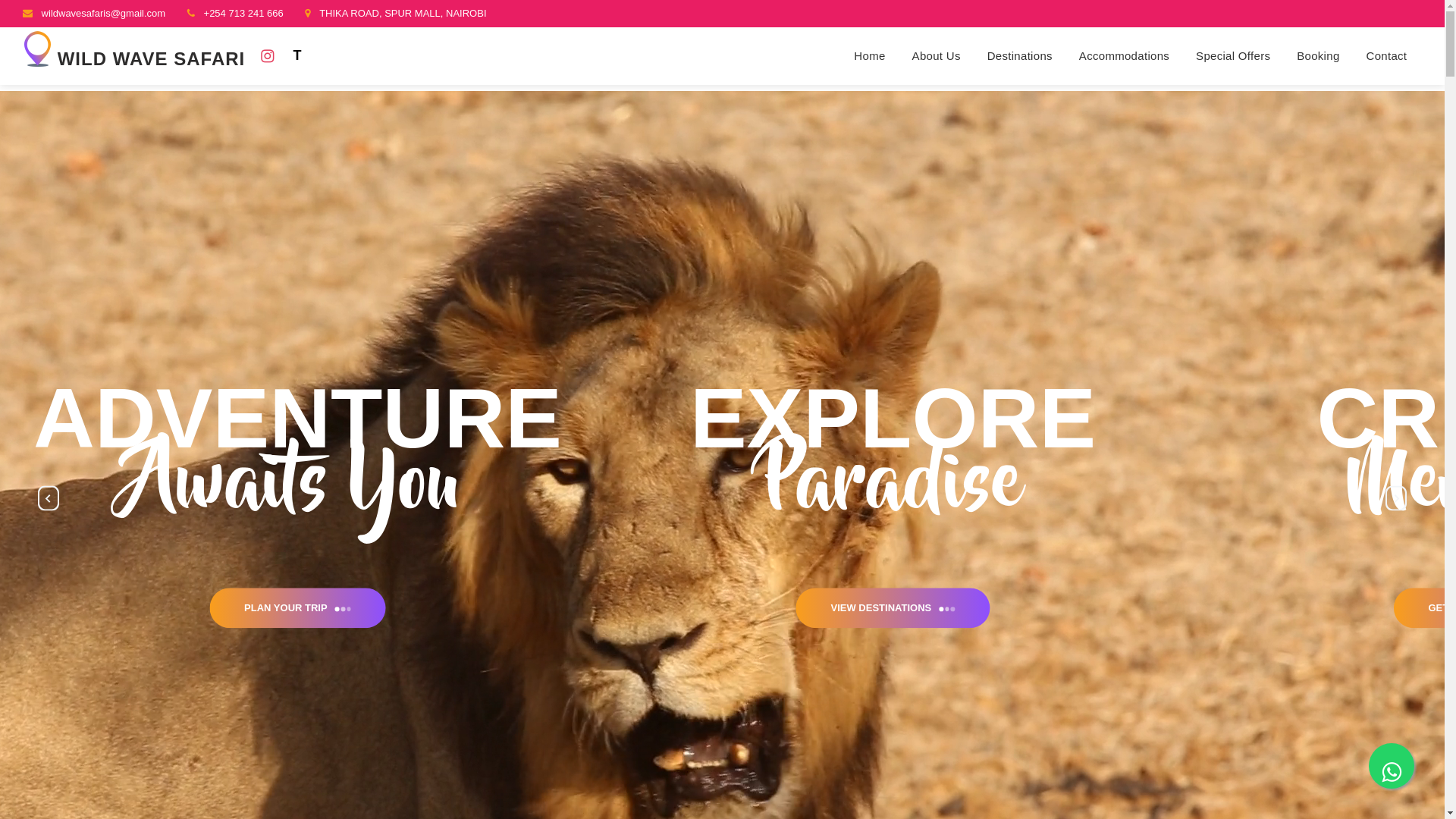 website screenshot of https://wildwaves-safari.com/
