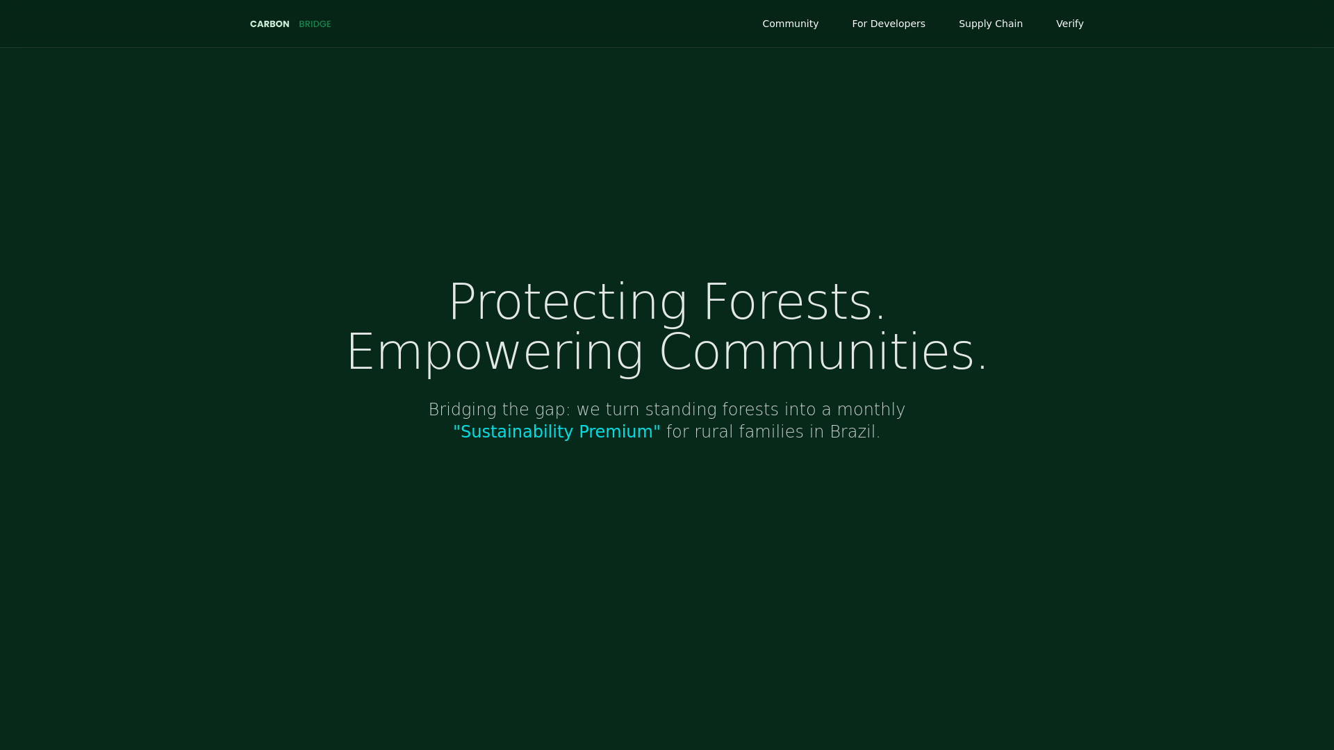 website screenshot of https://carbonbridge.nl/