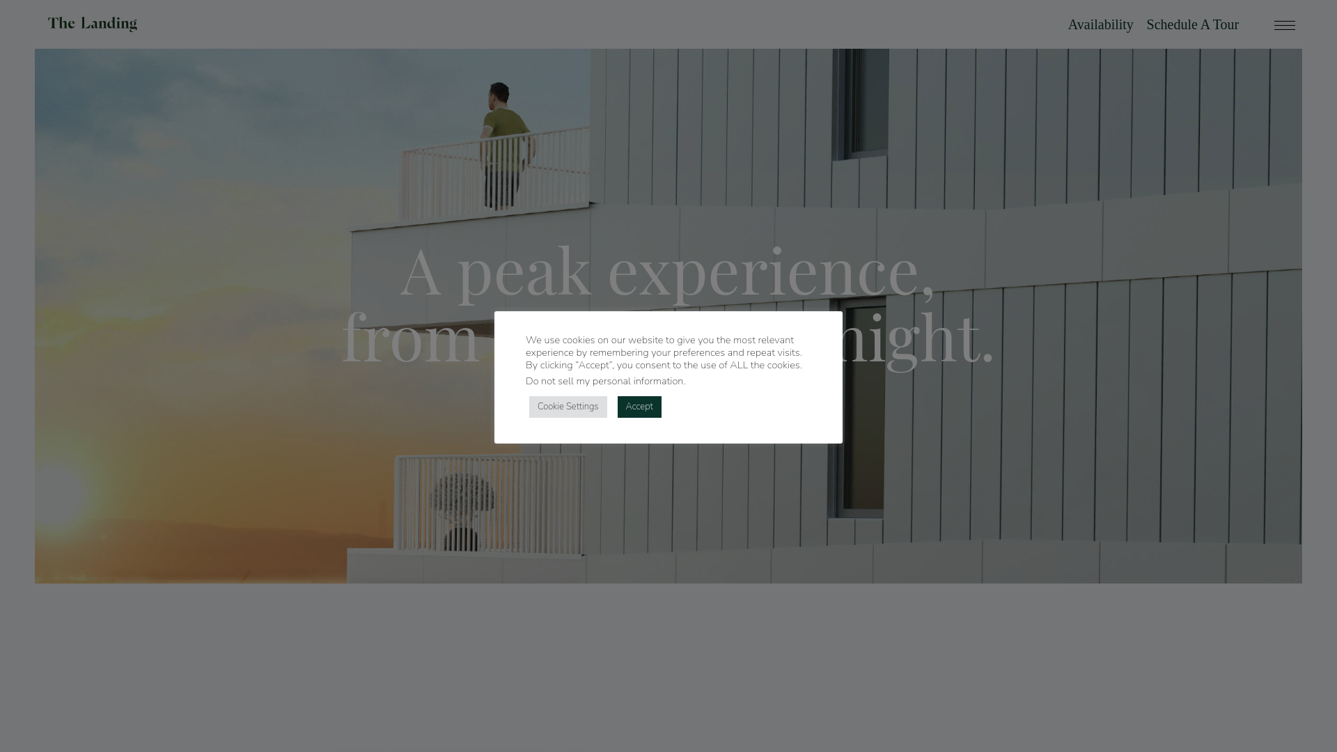 website screenshot of https://thelandingsf.homes/