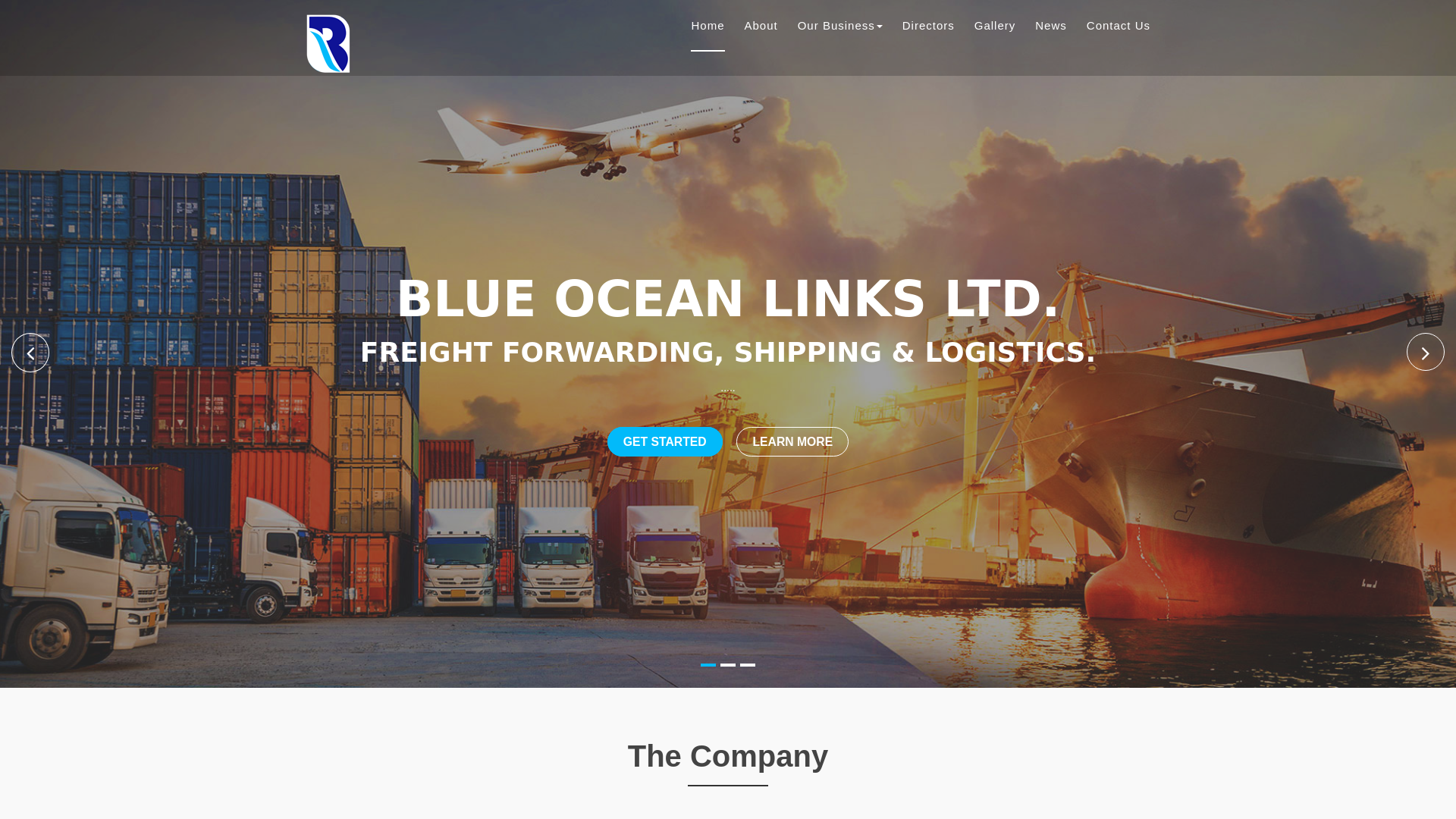 website screenshot of https://blueoceanlinks.com