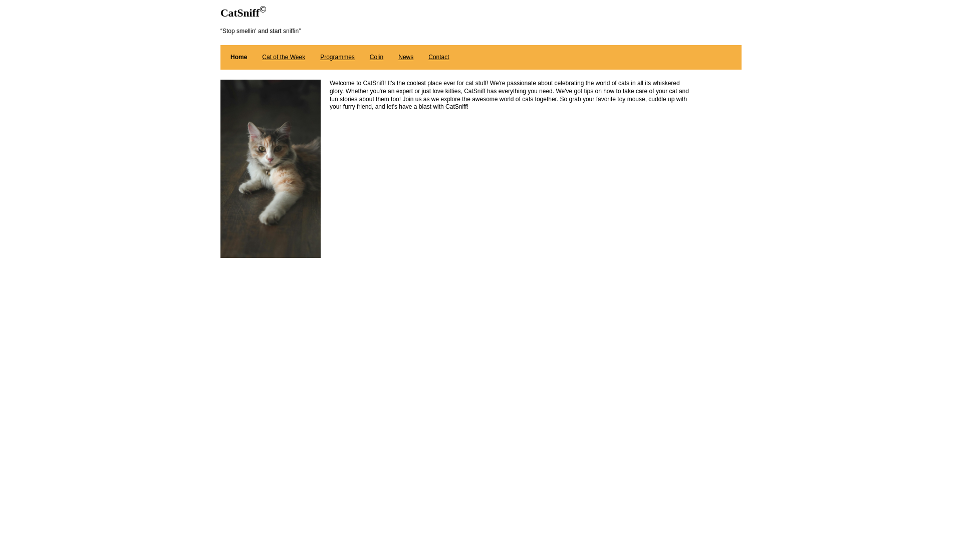 website screenshot of https://catsniff.net
