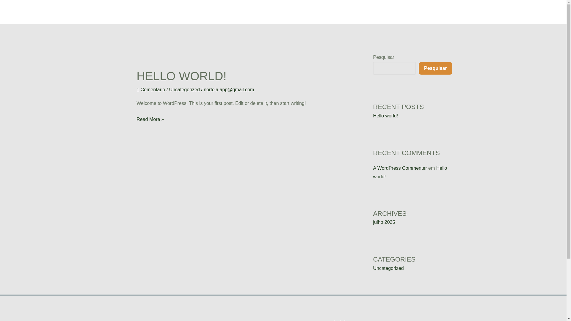website screenshot of https://norteiaapp.com.br/
