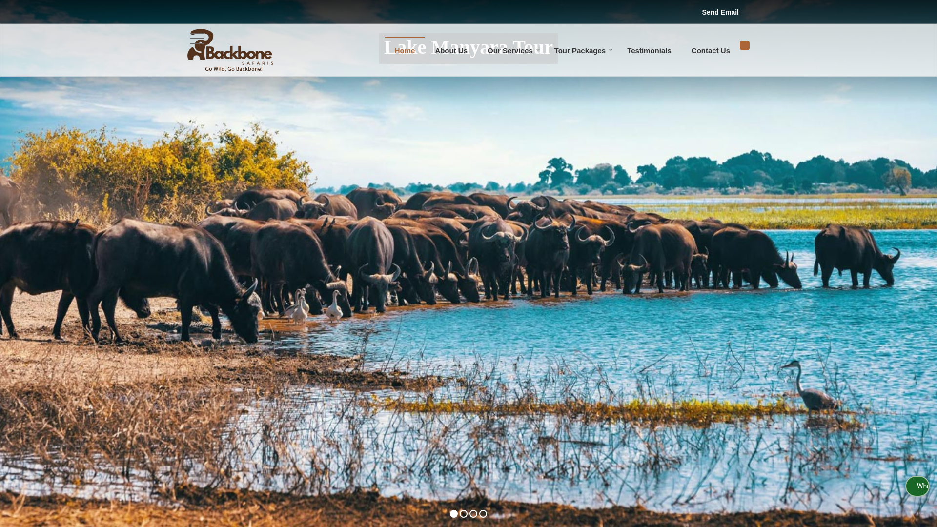 website screenshot of https://backbonesafaristour.com