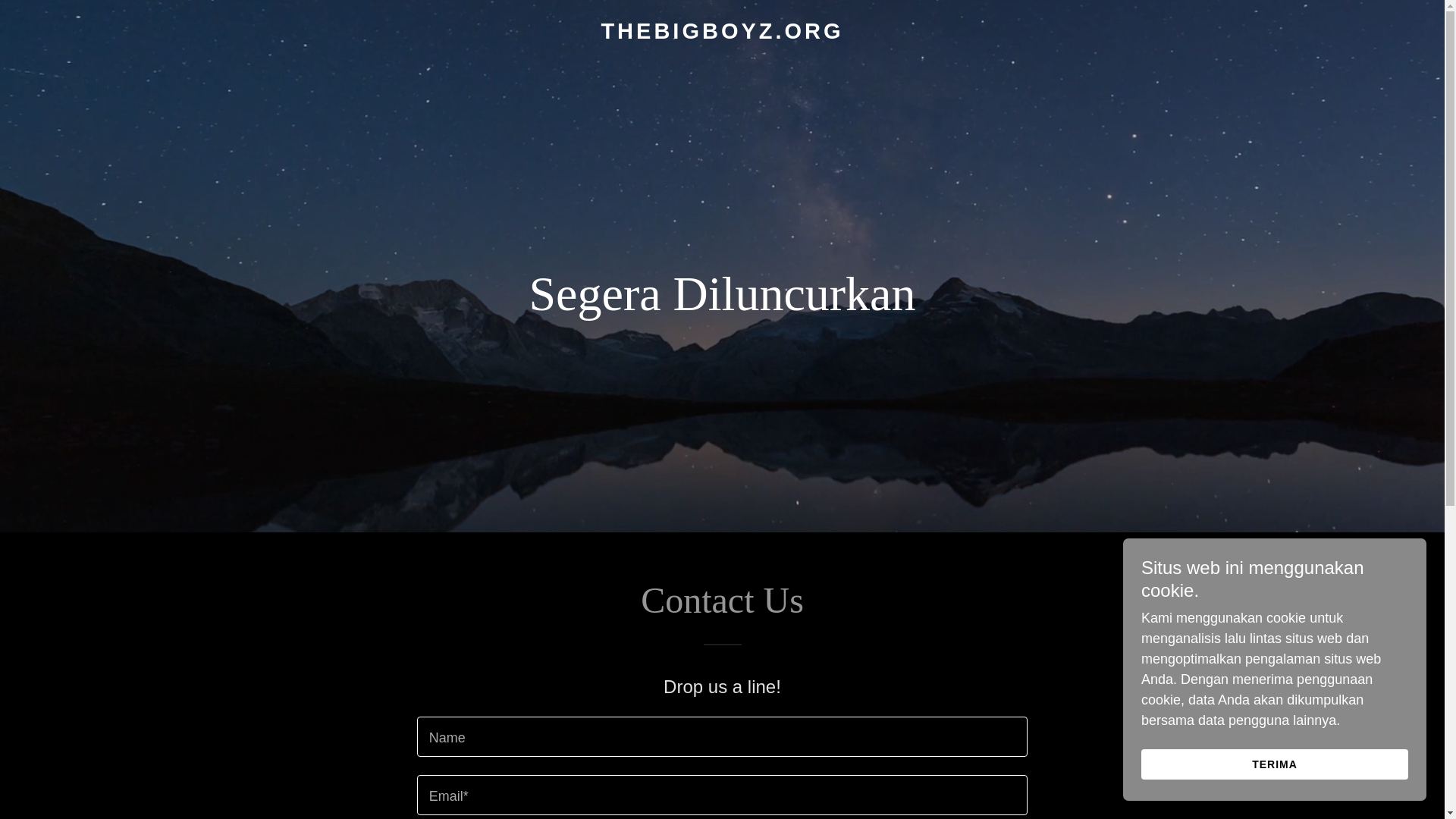 website screenshot of https://thebigboyz.org/