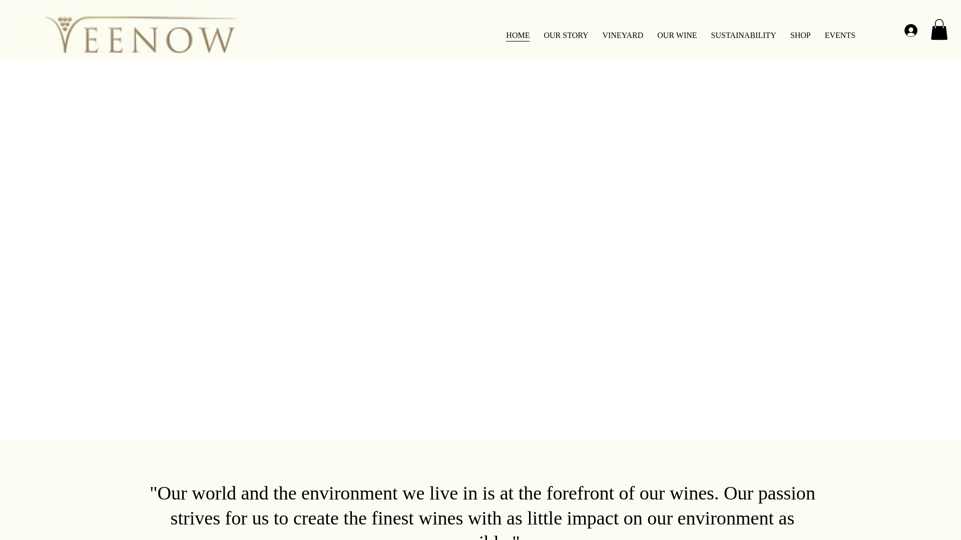 website screenshot of https://veenow.site/