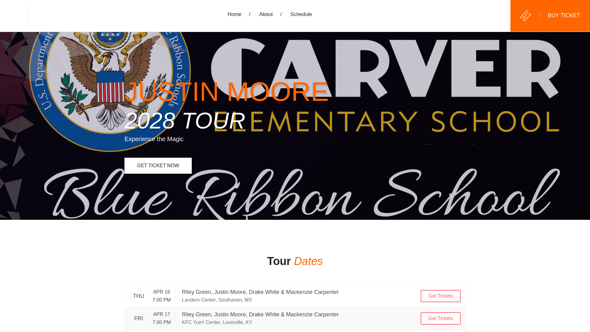 website screenshot of https://justinmooretour2028.us/