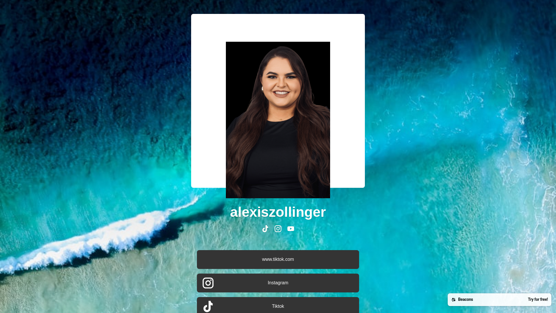 website screenshot of https://alexiszollinger.bio/