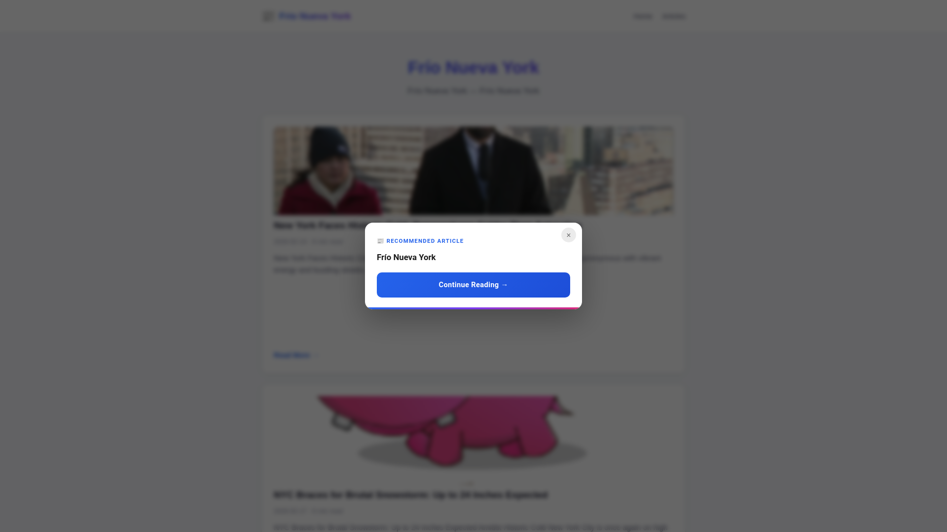 website screenshot of https://frio-nueva-york.pages.dev/