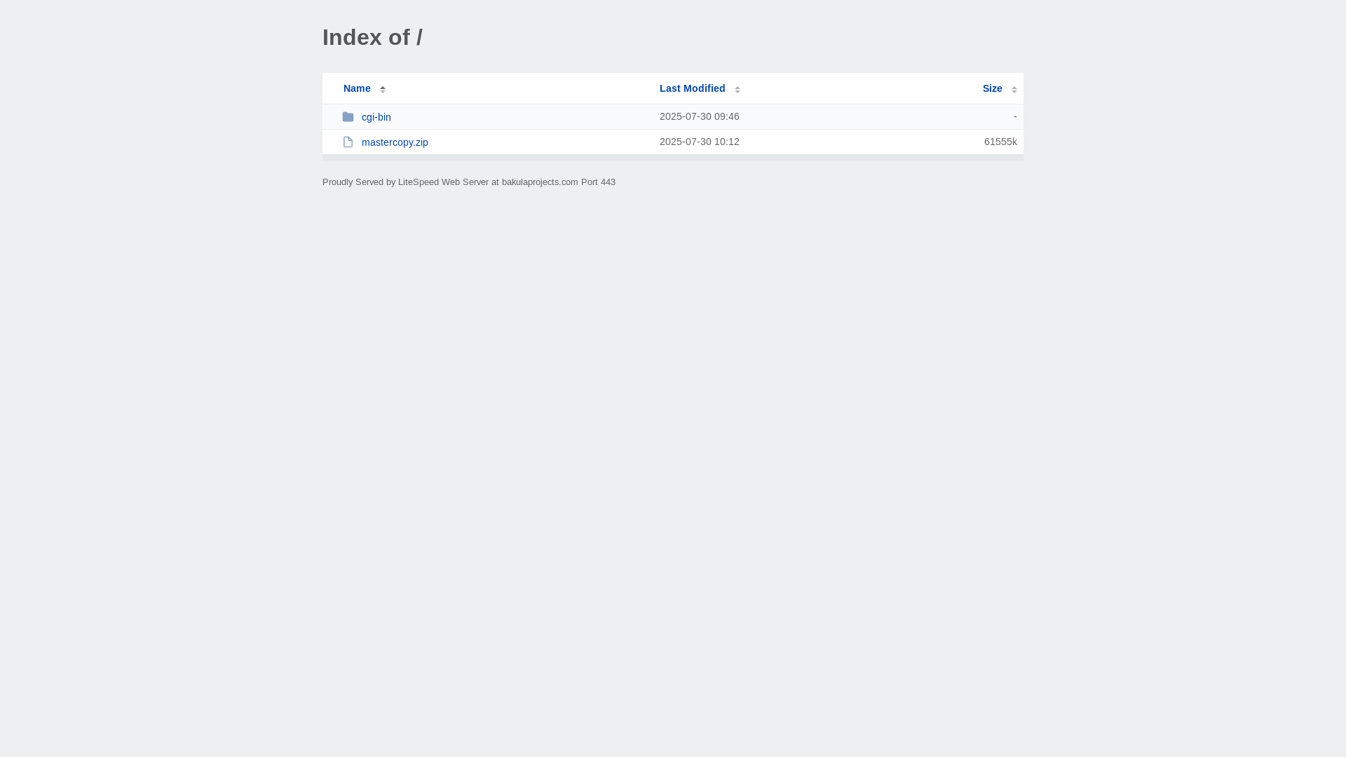 website screenshot of https://bakulaprojects.com/