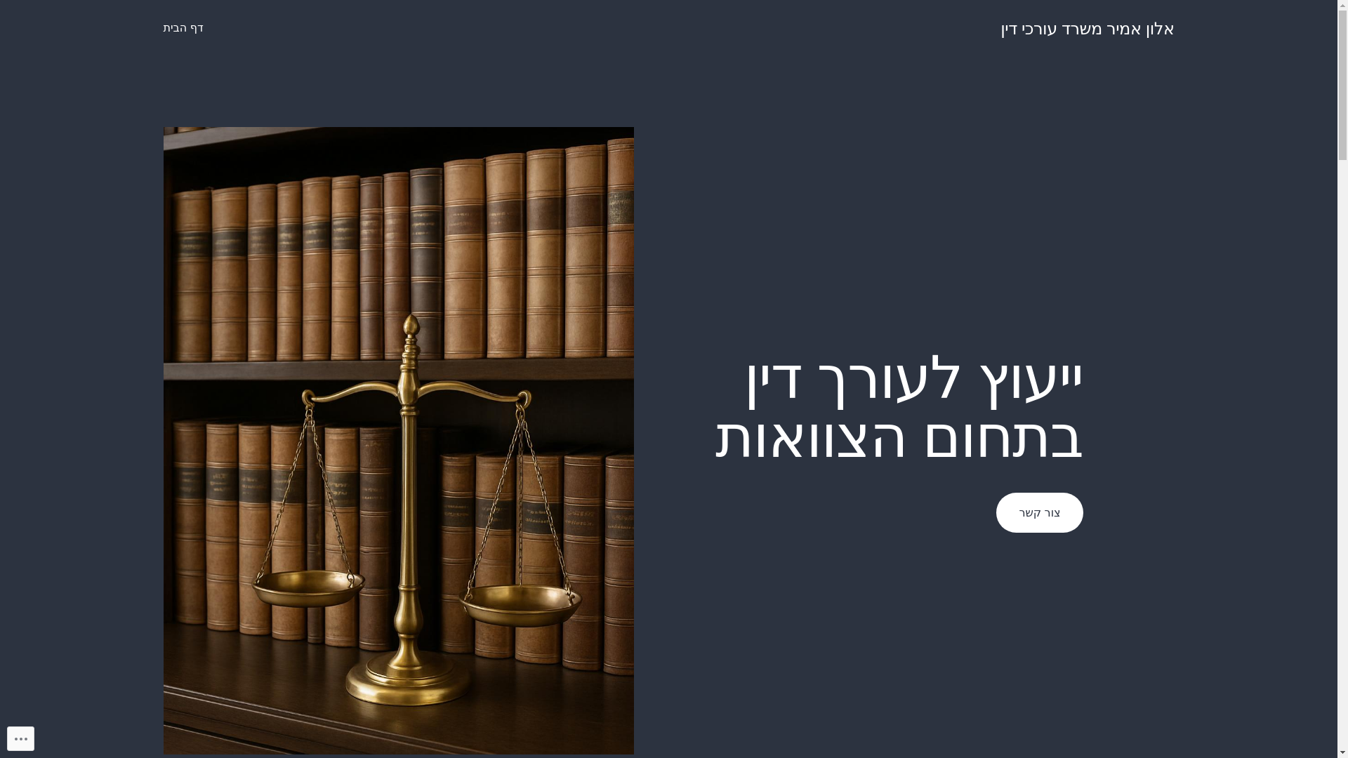 website screenshot of https://alon-law.org/